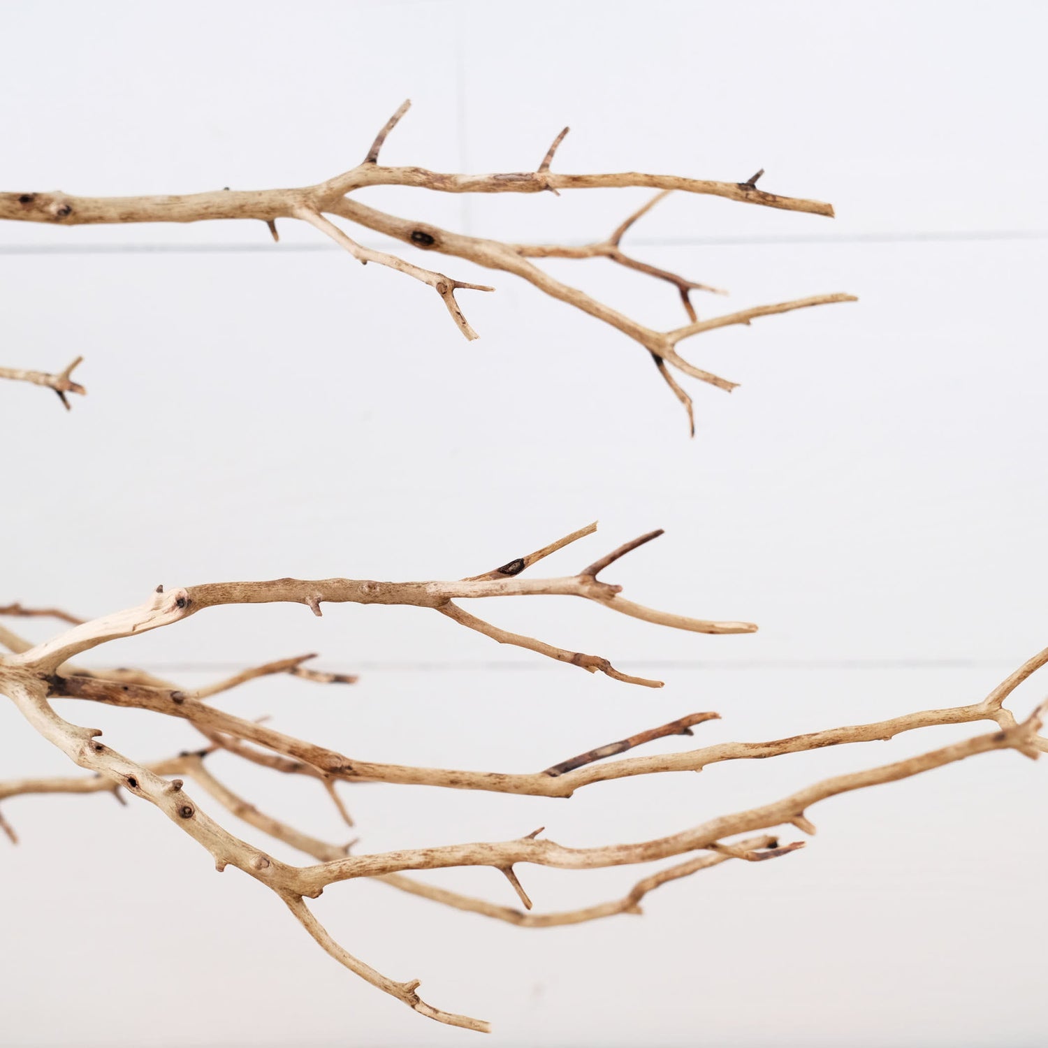 29" Manzanita Branch, Large Aquarium Wood, Aquascape Driftwood Centerpiece, Driftwood Wall Decor