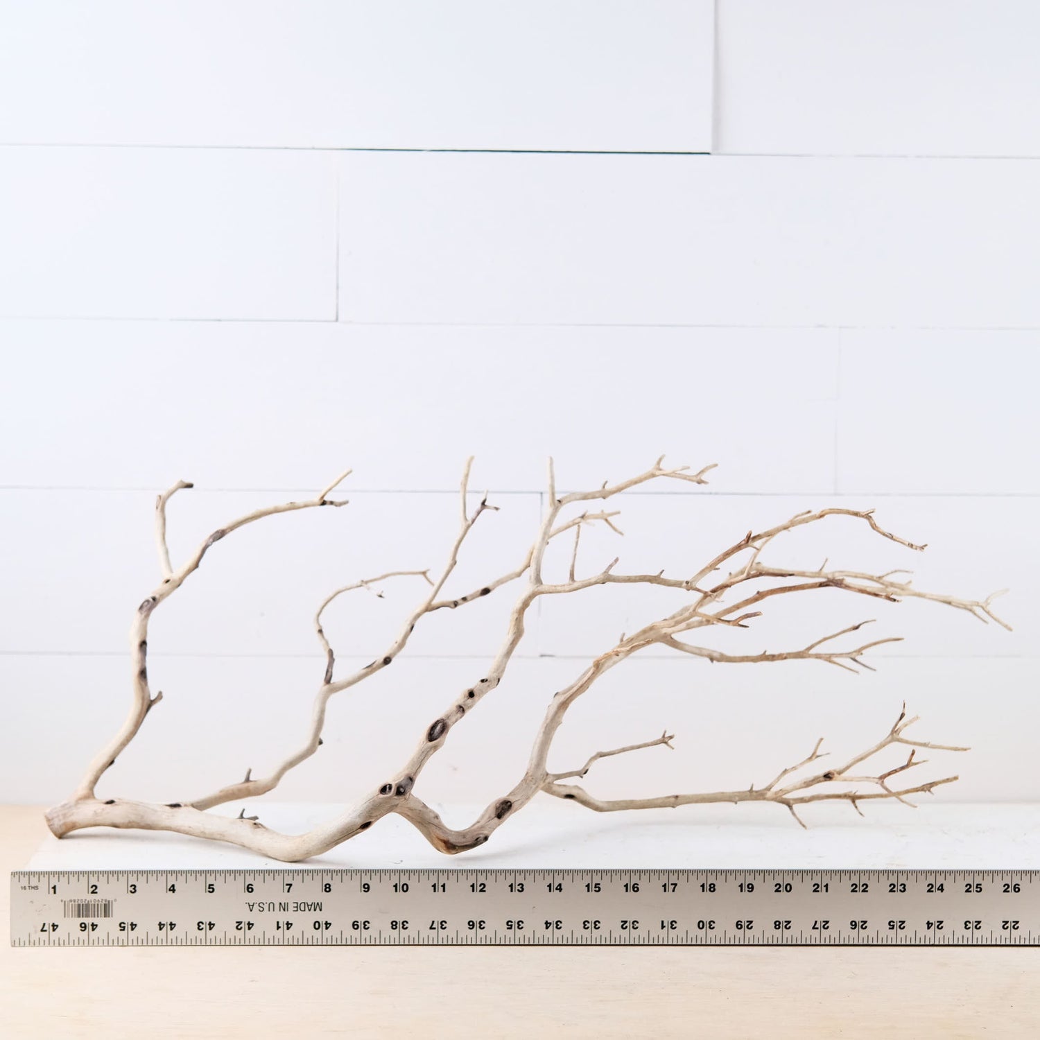 29" Manzanita Branch, Large Aquarium Wood, Aquascape Driftwood Centerpiece, Driftwood Wall Decor