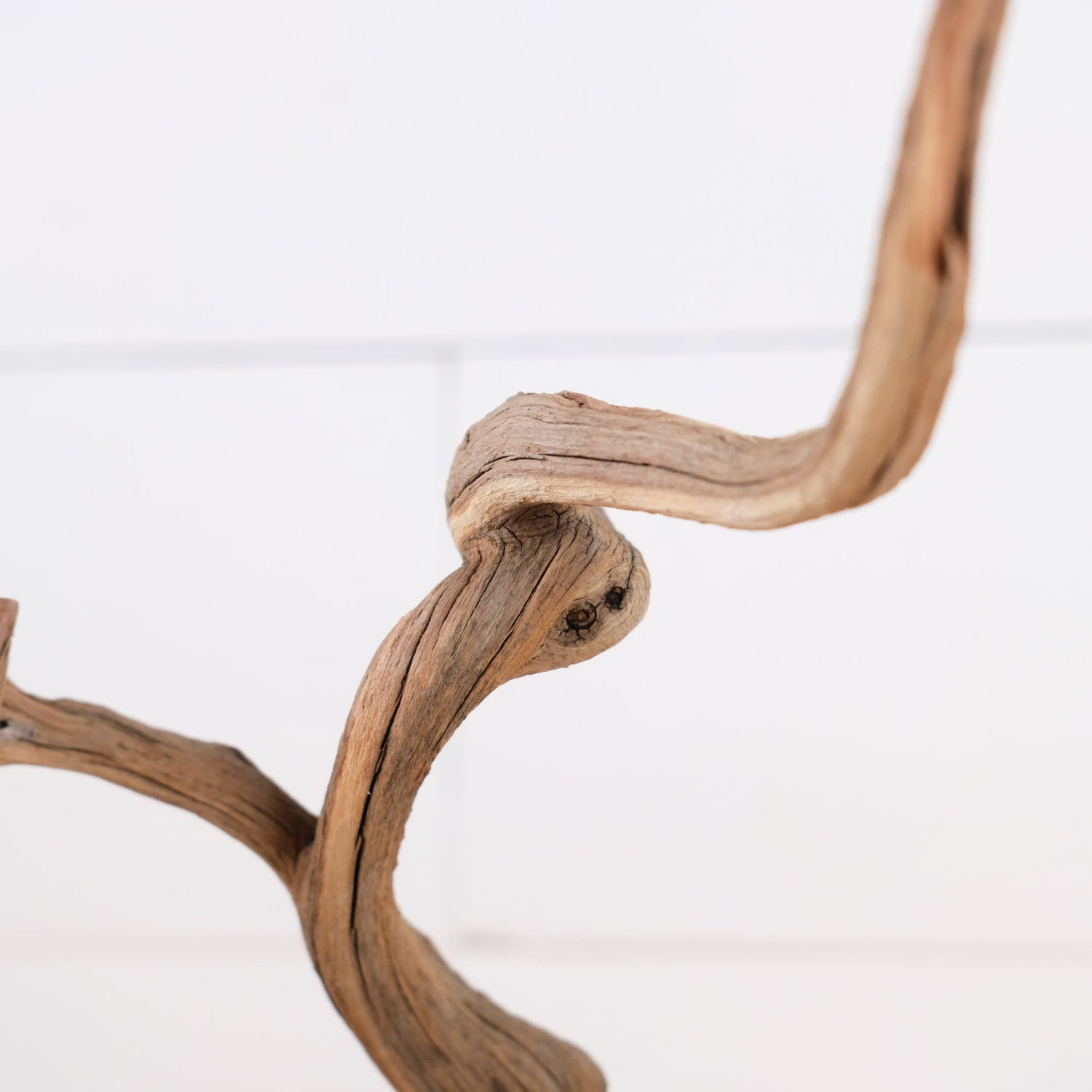 Manzanita 15-16" Branches (Set of 2), Aquarium Driftwood, Natural Terrarium Wood, Aquascape Decor