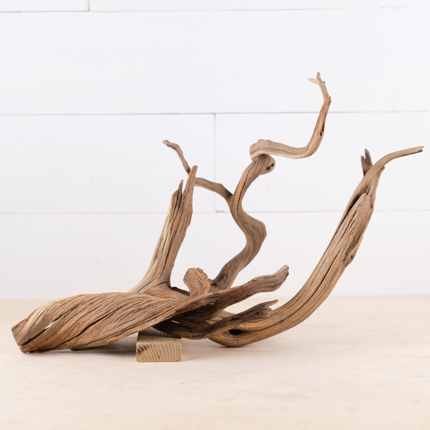 Manzanita 15-16" Branches (Set of 2), Aquarium Driftwood, Natural Terrarium Wood, Aquascape Decor