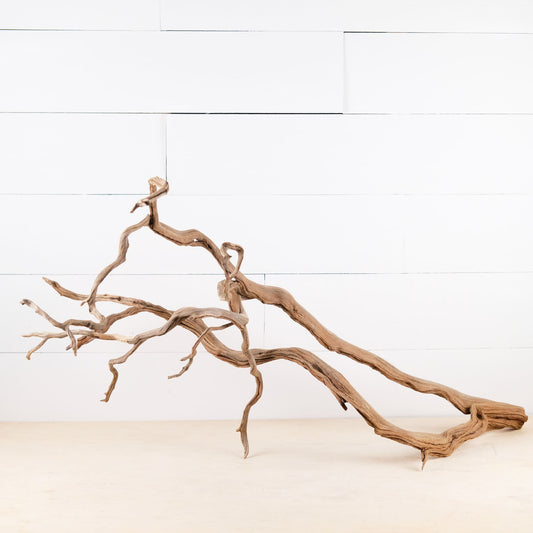 Manzanita 34" Branch, Aquascape Driftwood, Aquarium Wood, Terrarium Tank Decor, Natural Decor Branch