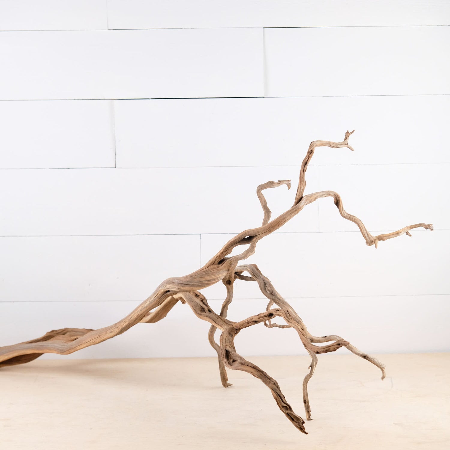 Manzanita 34" Branch, Aquascape Driftwood, Aquarium Wood, Terrarium Tank Decor, Natural Decor Branch