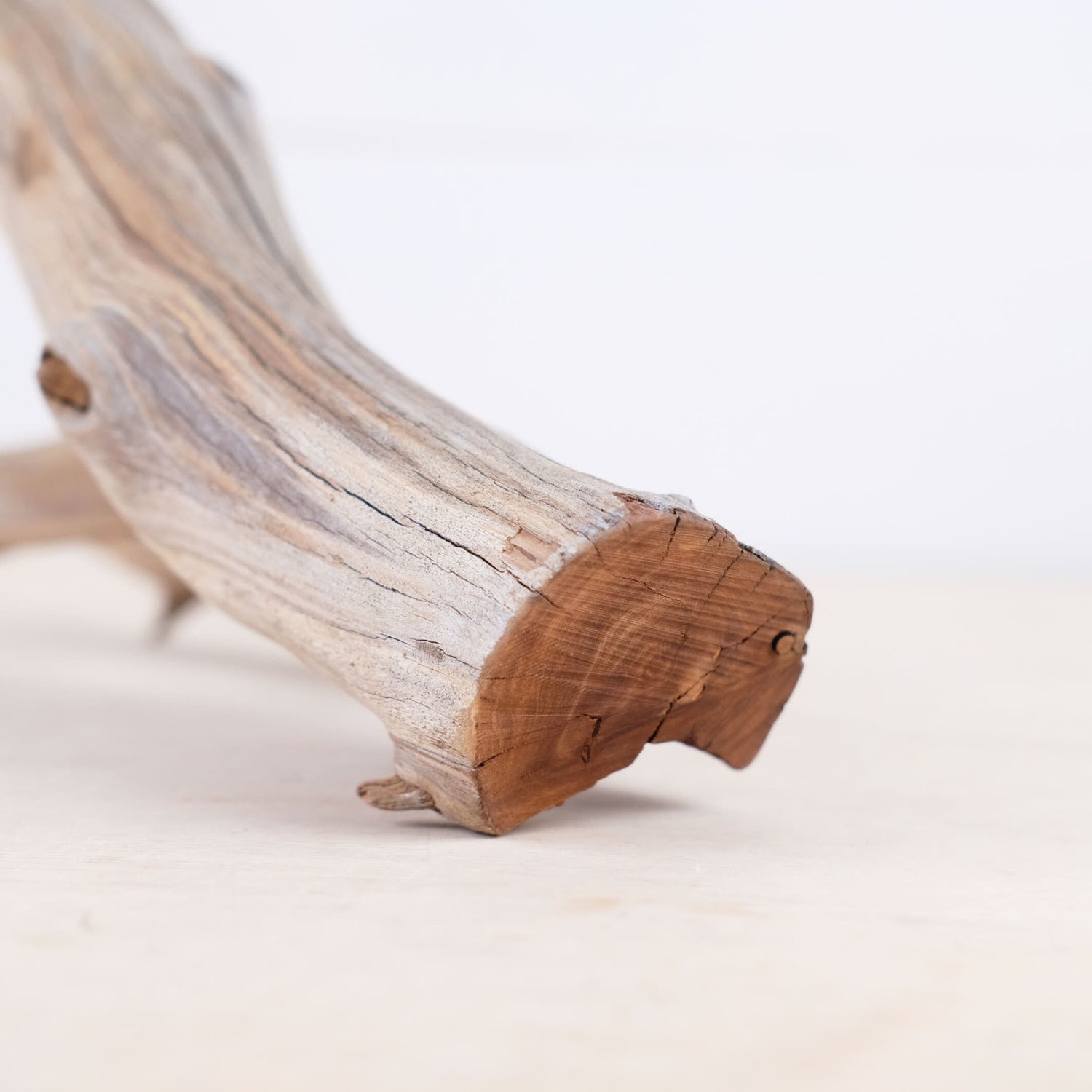 Manzanita 12" Driftwood Branch, Natural Aquarium Wood, Small Aquascape Feature, Fish Tank Decor, Reptile Enrichment