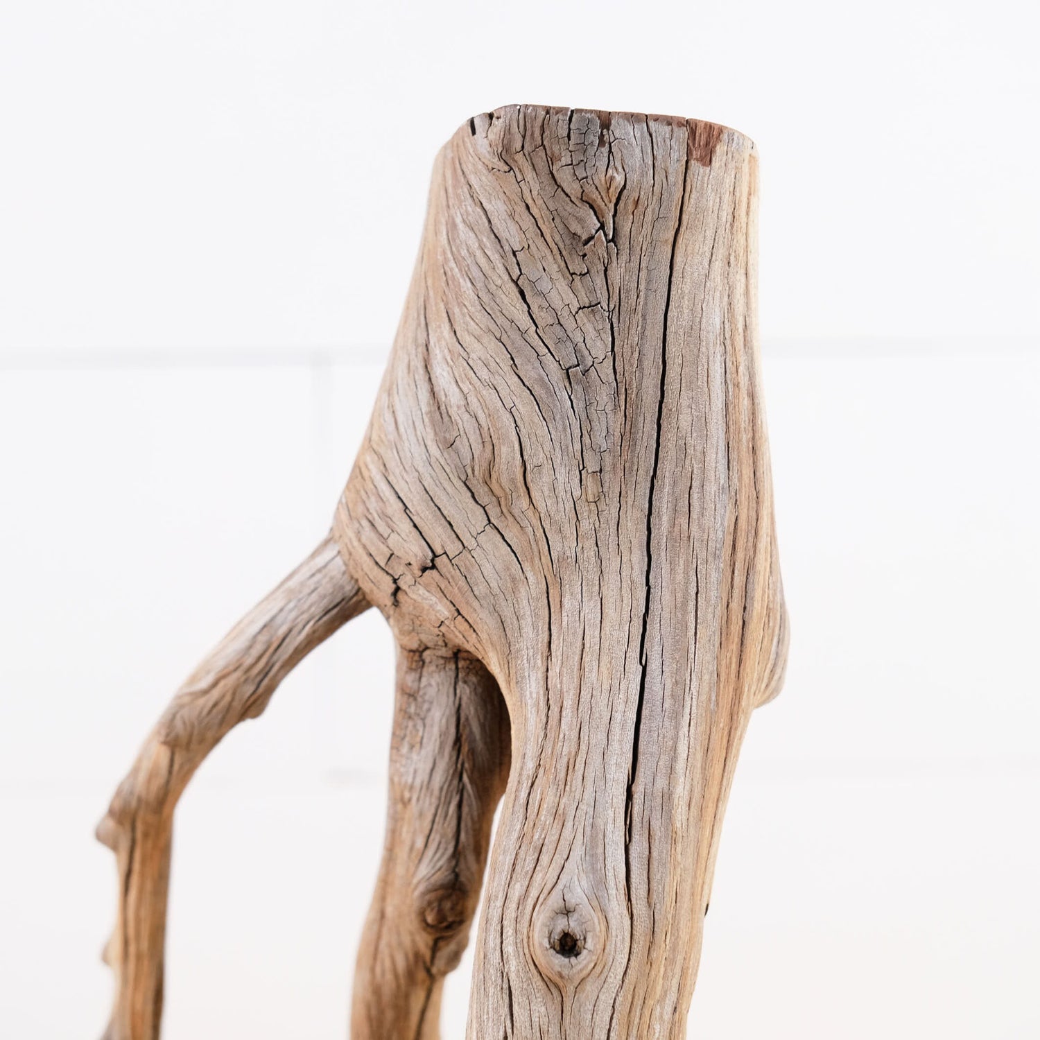 Manzanita 12" Driftwood Branch, Natural Aquarium Wood, Small Aquascape Feature, Fish Tank Decor, Reptile Enrichment