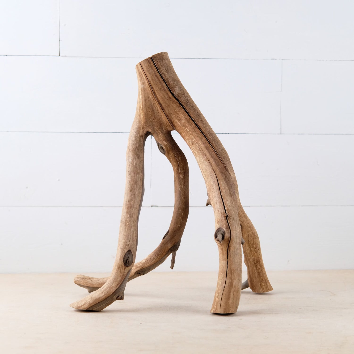 16" Manzanita Branch, Aquarium Wood, Aquascape Driftwood Centerpiece, Fish Tank Decor