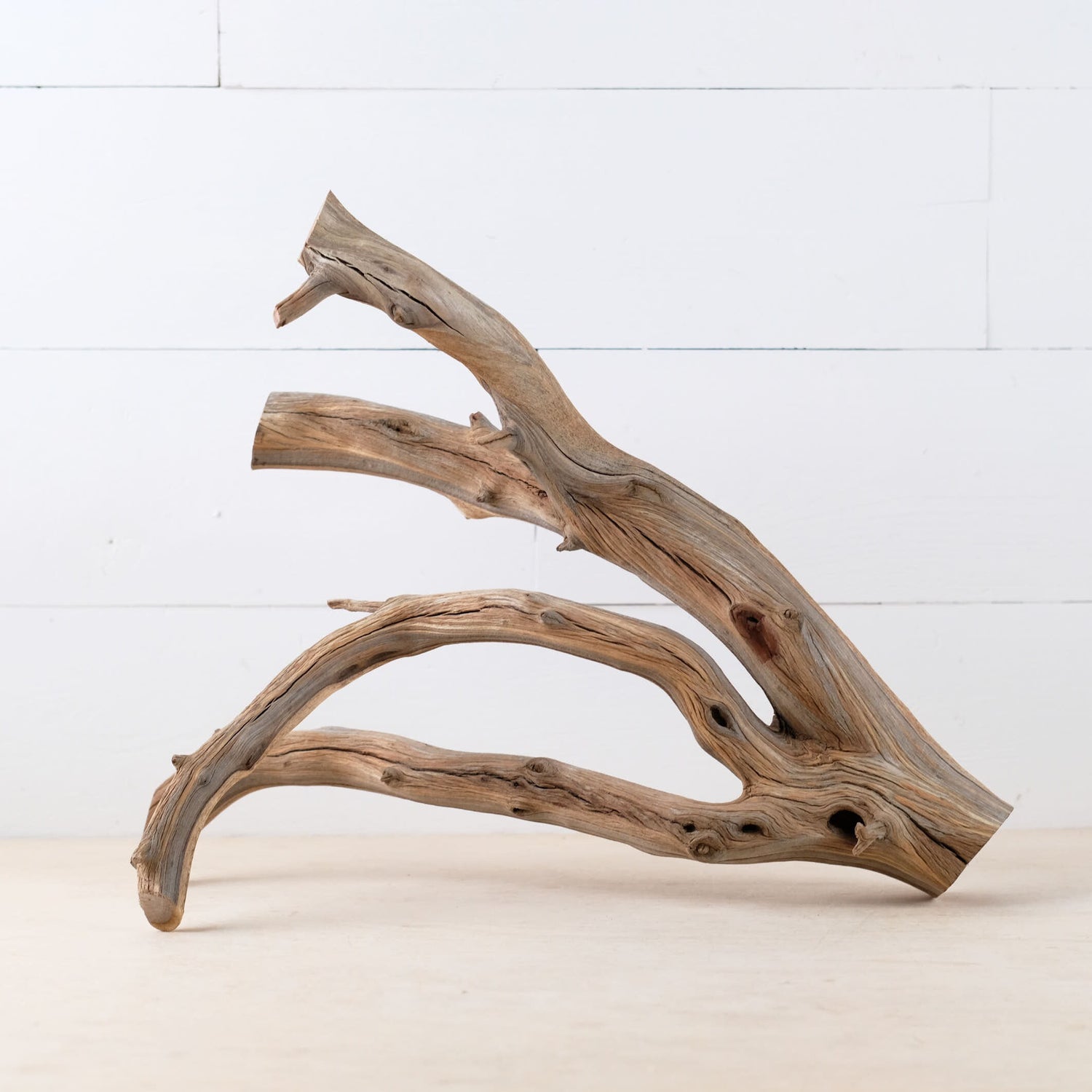 16" Manzanita Branch, Aquarium Wood, Aquascape Driftwood Centerpiece, Fish Tank Decor