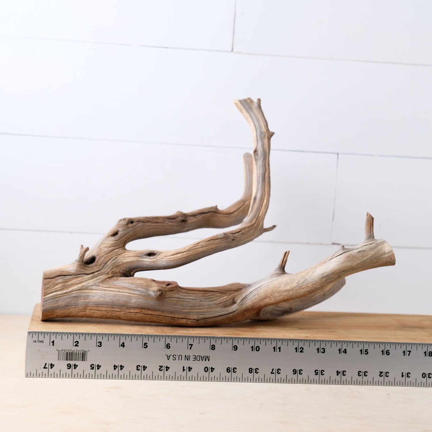 16" Manzanita Branch, Aquarium Wood, Aquascape Driftwood Centerpiece, Fish Tank Decor