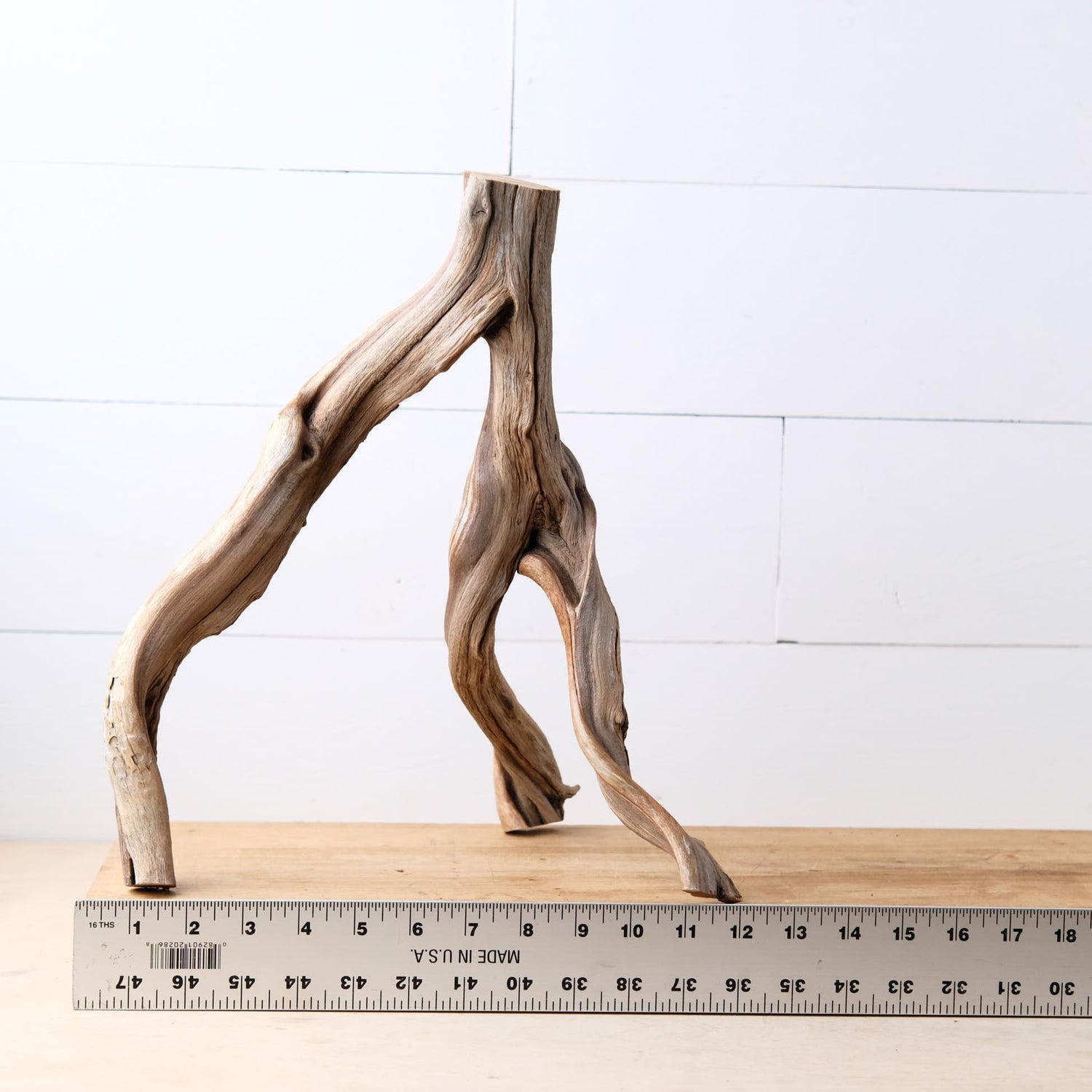 Manzanita 16" Branch, Aquascape Driftwood, Aquarium Wood Centerpiece, Natural Fish Tank Decor, Reptile Terrarium Branch