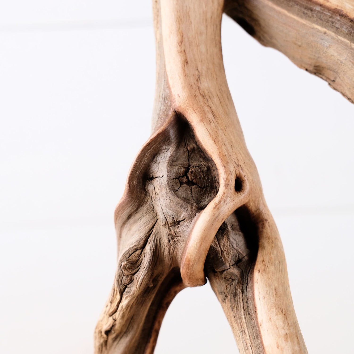Manzanita 16" Branch, Aquascape Driftwood, Aquarium Wood Centerpiece, Natural Fish Tank Decor, Reptile Terrarium Branch