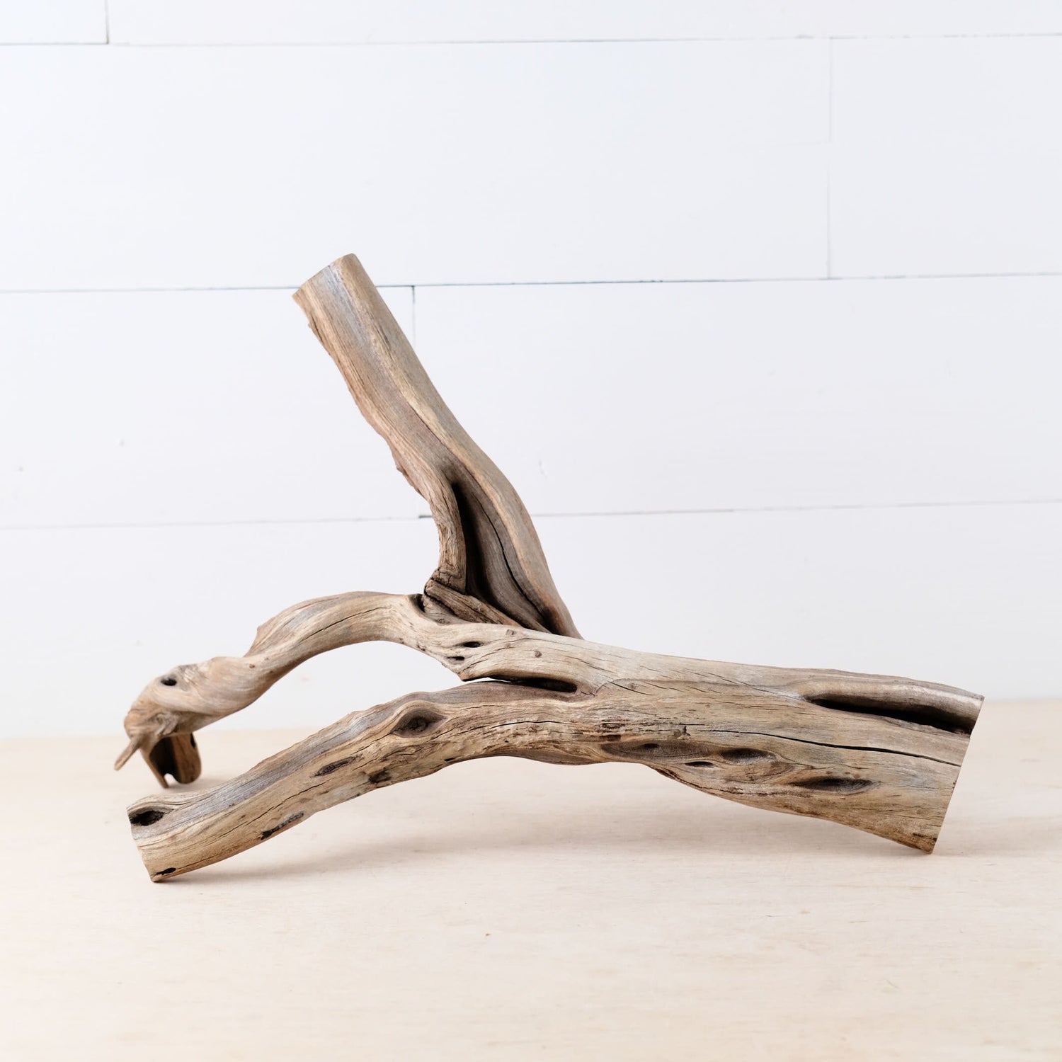 Manzanita 18" Driftwood, Aquarium Aquascape Branch, Narrow Fish Tank Decor, Terrarium Wood