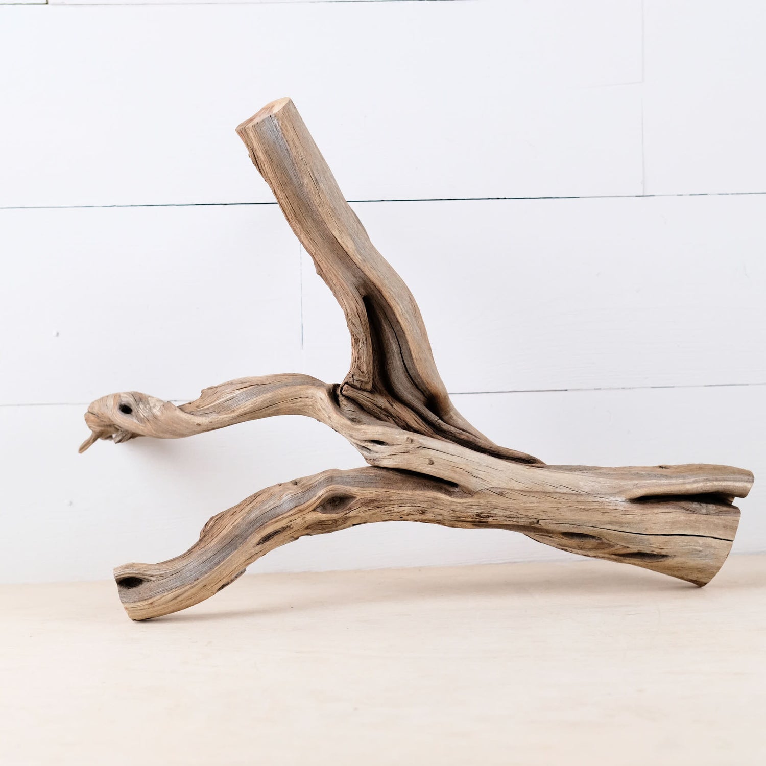 Manzanita 18" Driftwood, Aquarium Aquascape Branch, Narrow Fish Tank Decor, Terrarium Wood
