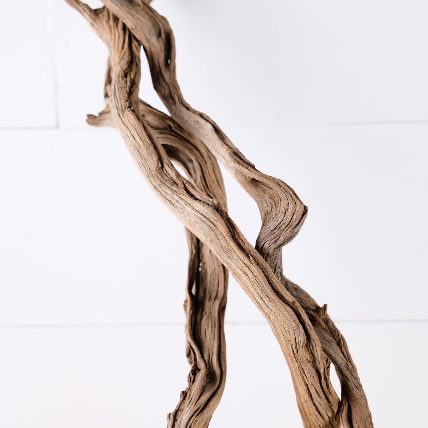Manzanita 23-24" Driftwood Branches (Set of 3), Real Aquarium Wood, Twisted Aquascape Decor, Terrarium Sticks, Reptile Branch