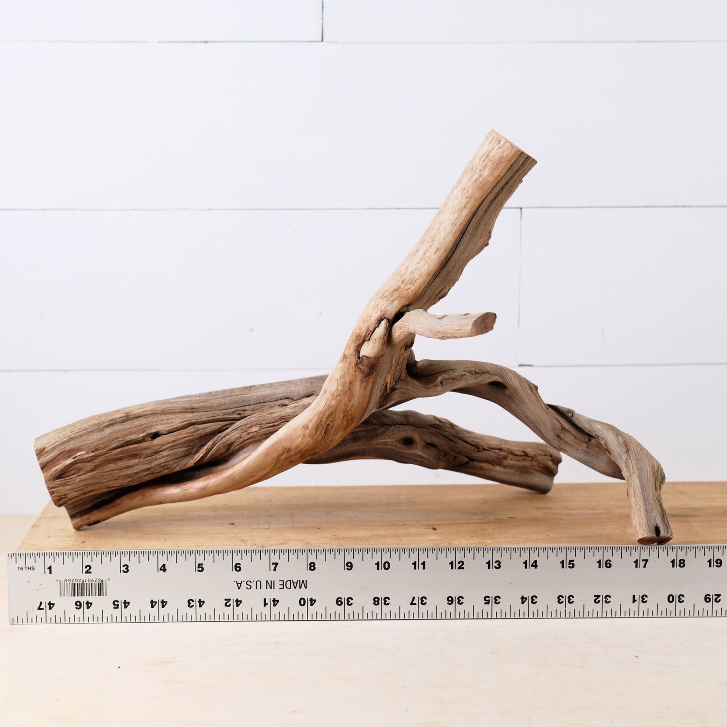 Manzanita 18" Driftwood, Aquarium Aquascape Branch, Narrow Fish Tank Decor, Terrarium Wood