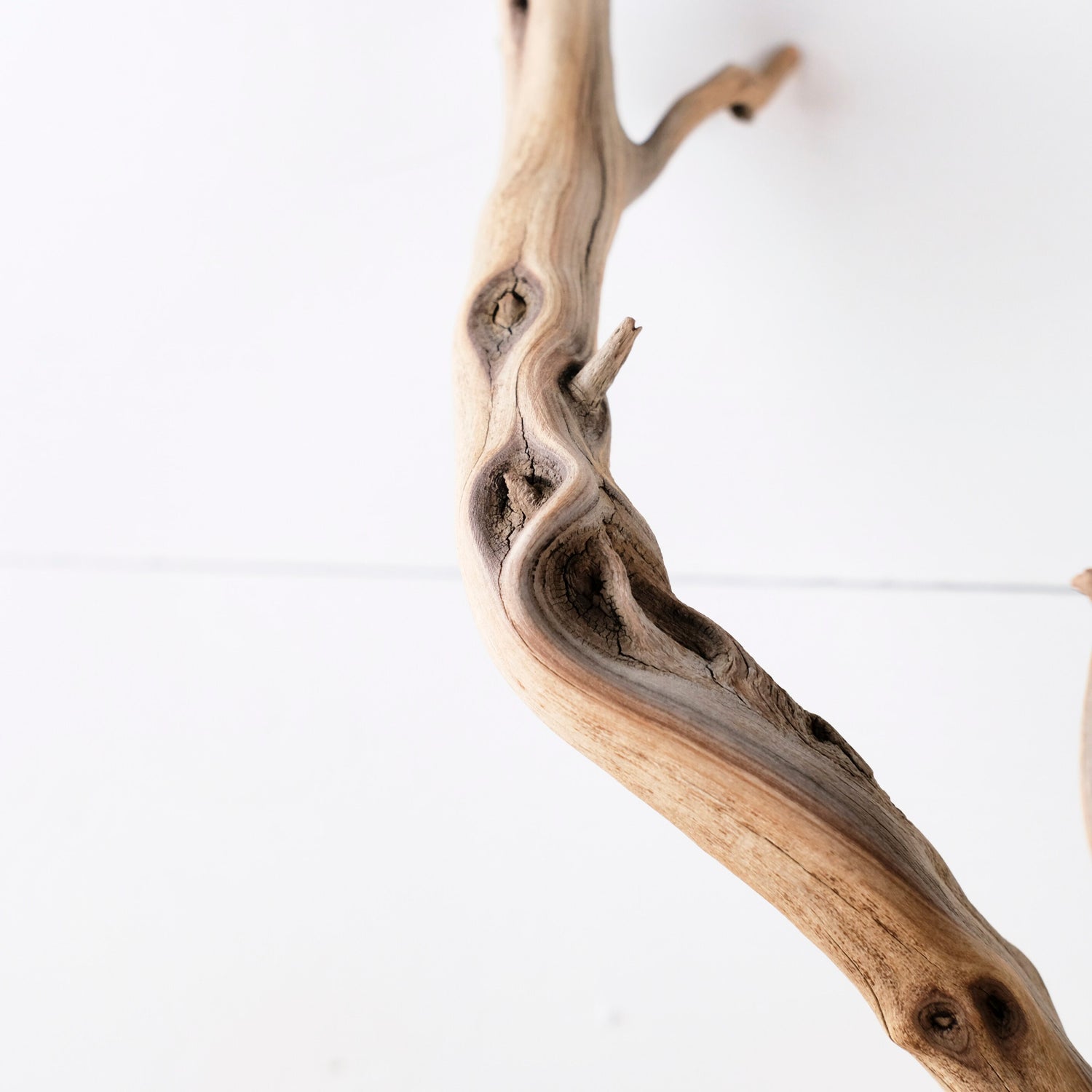 Manzanita 26" Driftwood (Set of 3), Terrarium Branches, Reptile Vivarium Wood, Sturdy Craft Sticks, Boa Climb
