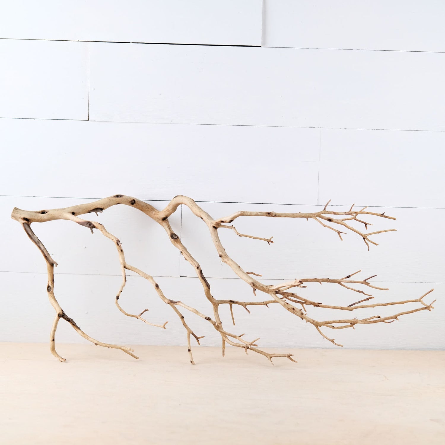 29" Manzanita Branch, Large Aquarium Wood, Aquascape Driftwood Centerpiece, Driftwood Wall Decor