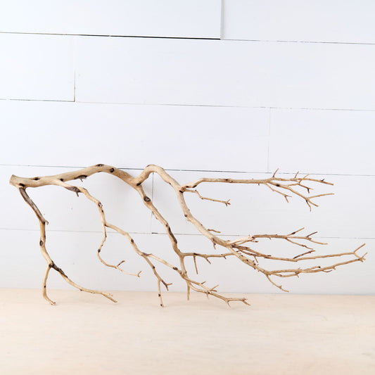 29" Manzanita Branch, Large Aquarium Wood, Aquascape Driftwood Centerpiece, Driftwood Wall Decor