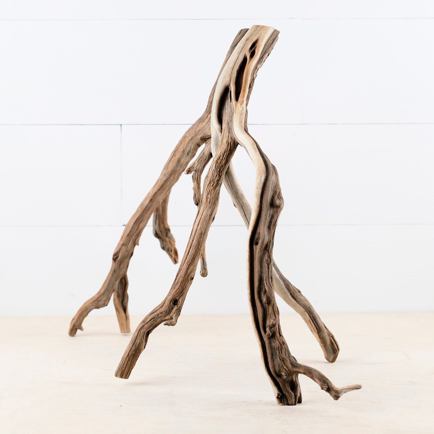 Manzanita 18" Branch, Large Aquascape Driftwood, Aquarium Wood Centerpiece, Natural Fish Tank Decor, Reptile Vivarium Branch