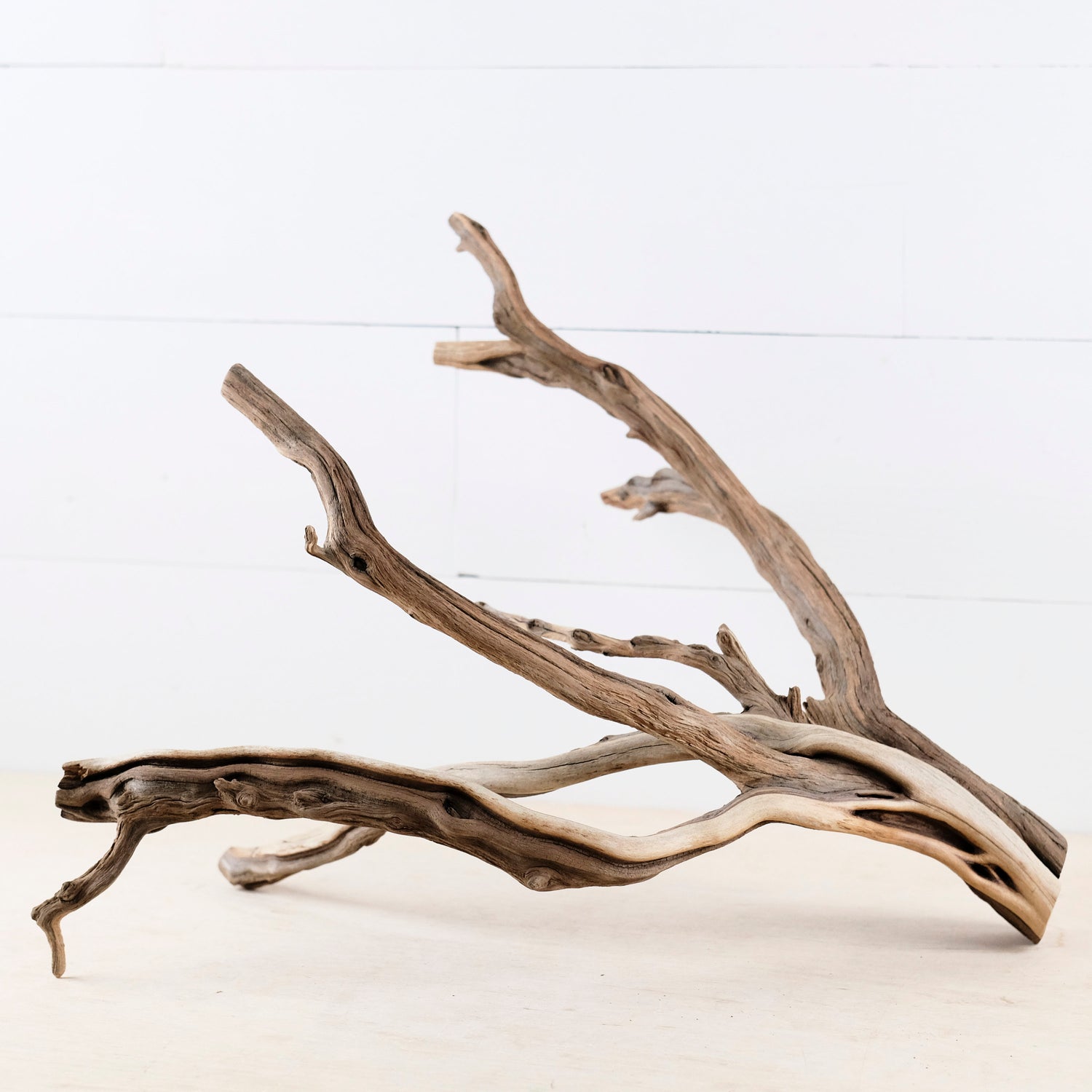 Manzanita 18" Branch, Large Aquascape Driftwood, Aquarium Wood Centerpiece, Natural Fish Tank Decor, Reptile Vivarium Branch