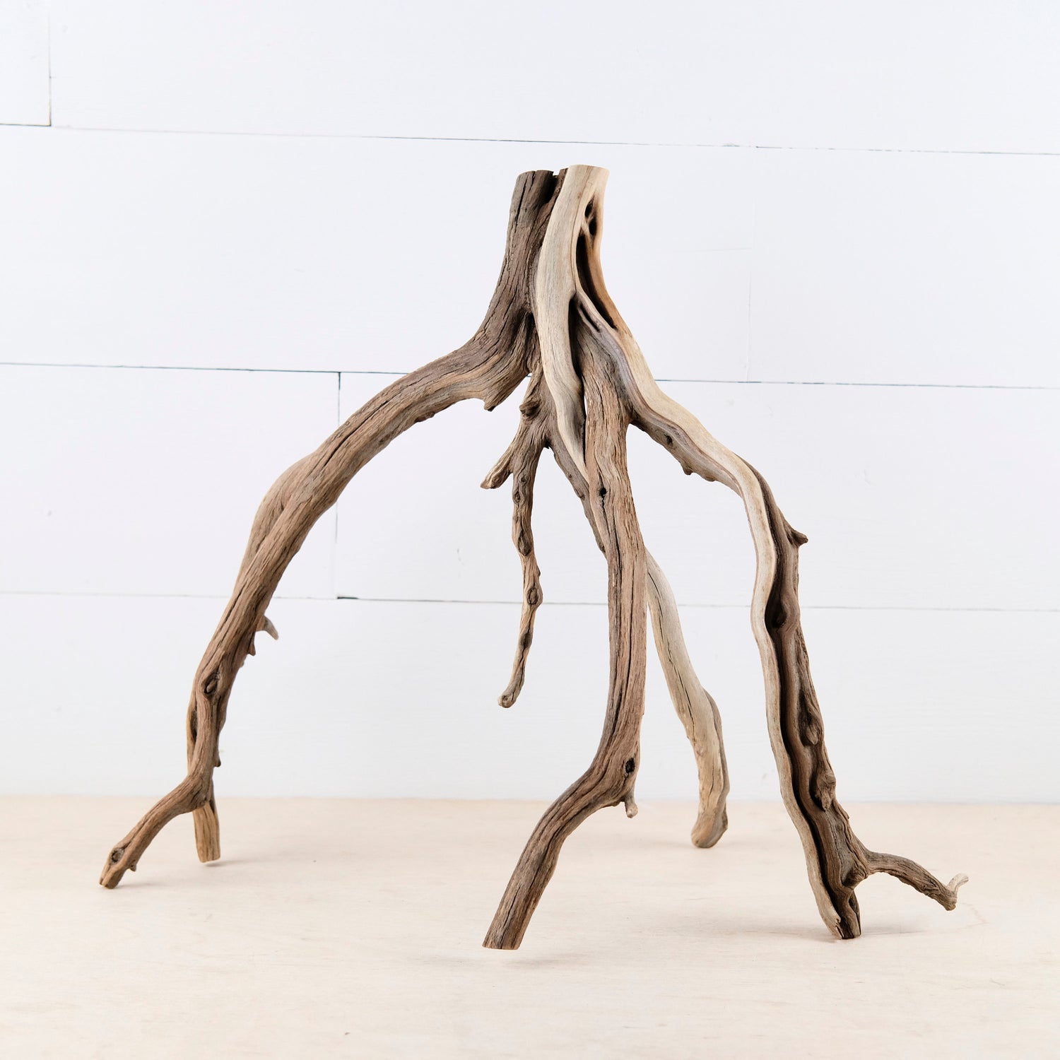 Manzanita 18" Branch, Large Aquascape Driftwood, Aquarium Wood Centerpiece, Natural Fish Tank Decor, Reptile Vivarium Branch