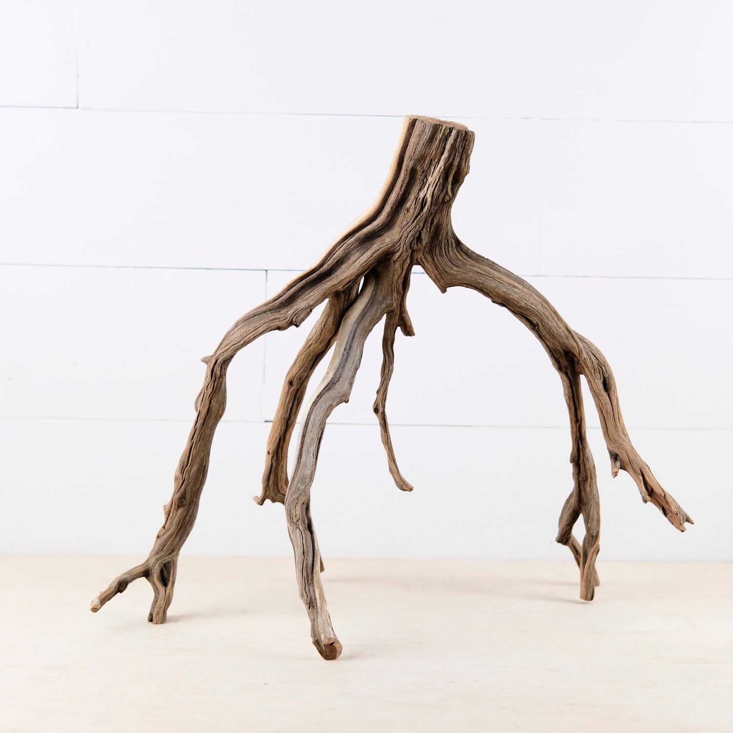 Manzanita 18" Branch, Large Aquascape Driftwood, Aquarium Wood Centerpiece, Natural Fish Tank Decor, Reptile Vivarium Branch