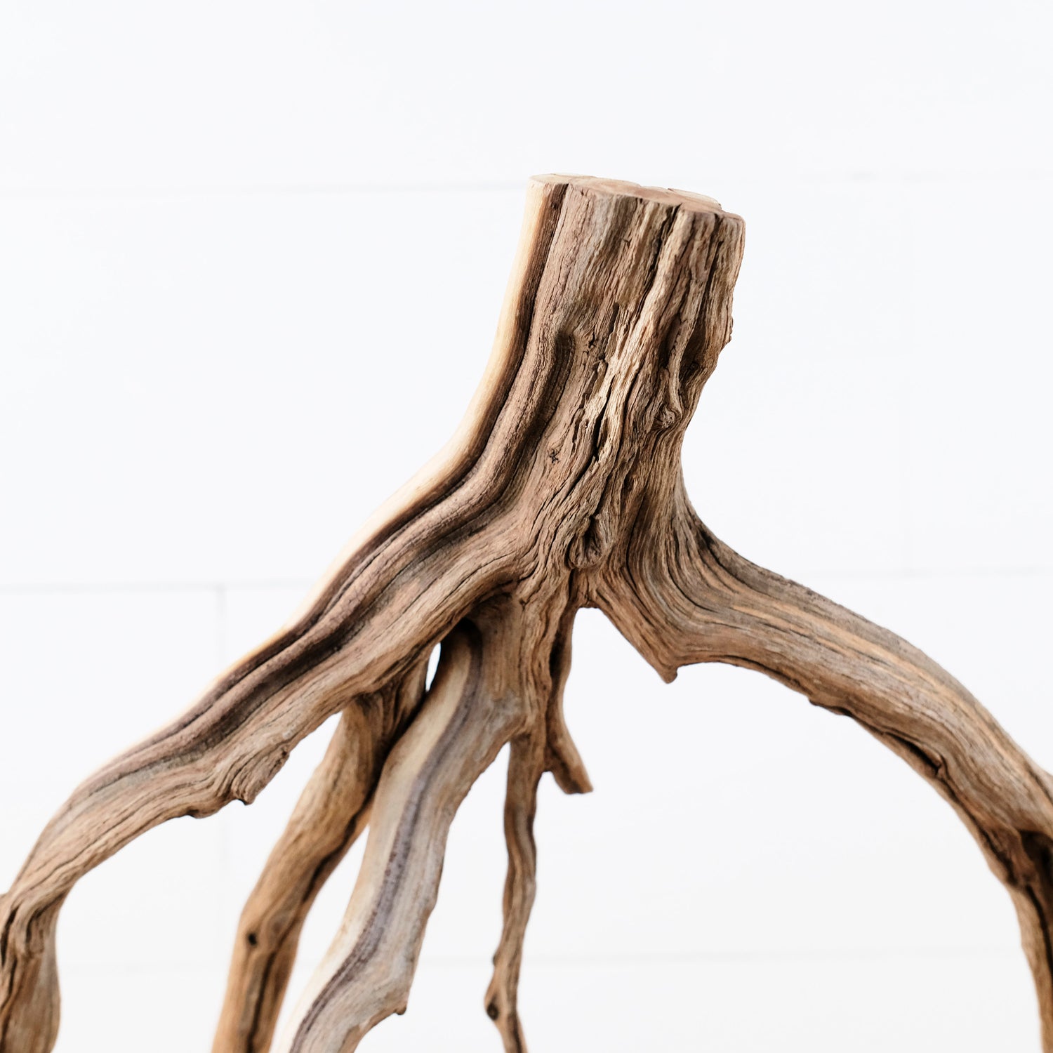 Manzanita 18" Branch, Large Aquascape Driftwood, Aquarium Wood Centerpiece, Natural Fish Tank Decor, Reptile Vivarium Branch