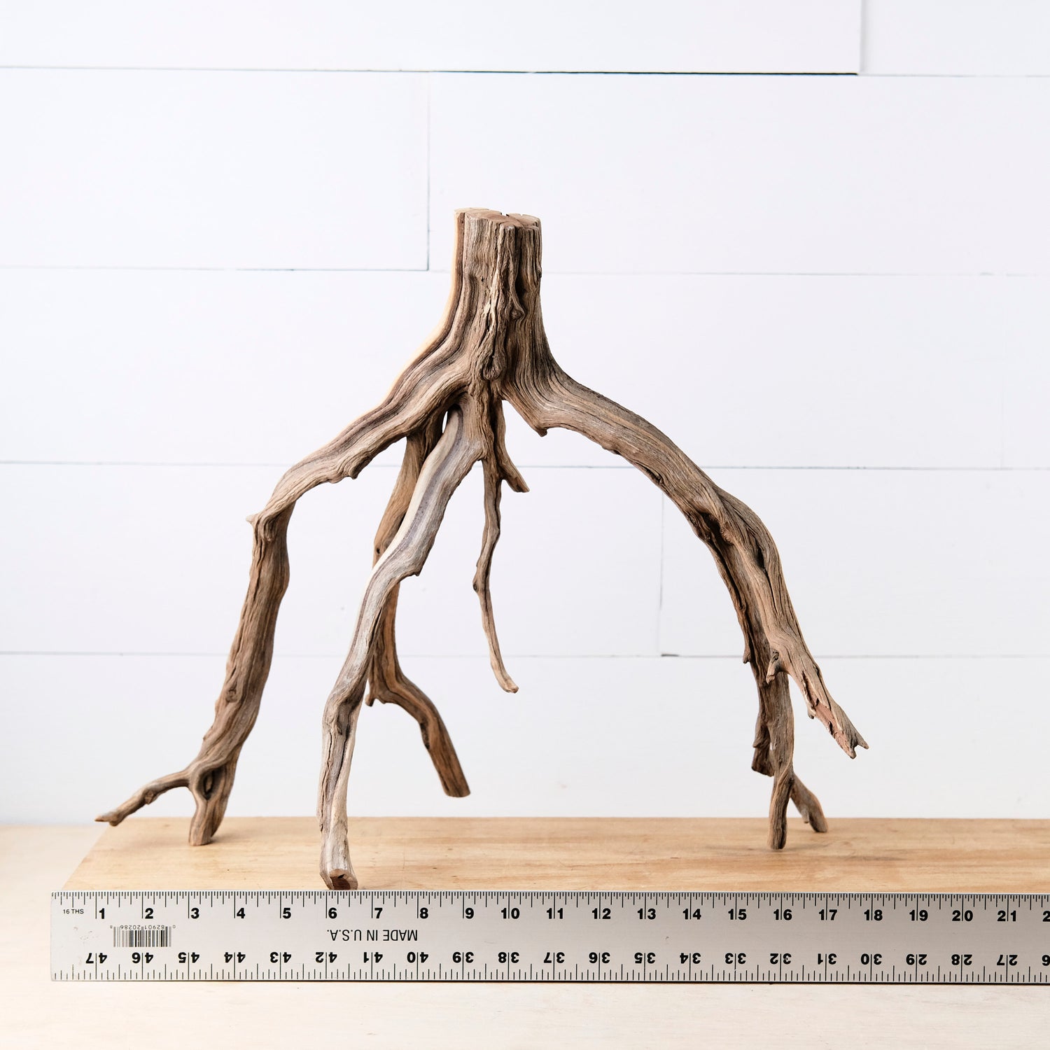 Manzanita 18" Branch, Large Aquascape Driftwood, Aquarium Wood Centerpiece, Natural Fish Tank Decor, Reptile Vivarium Branch