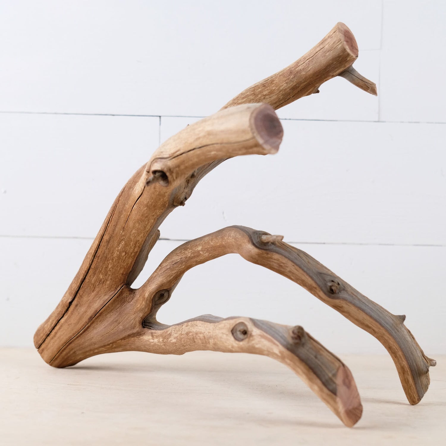 16" Manzanita Branch, Aquarium Wood, Aquascape Driftwood Centerpiece, Fish Tank Decor