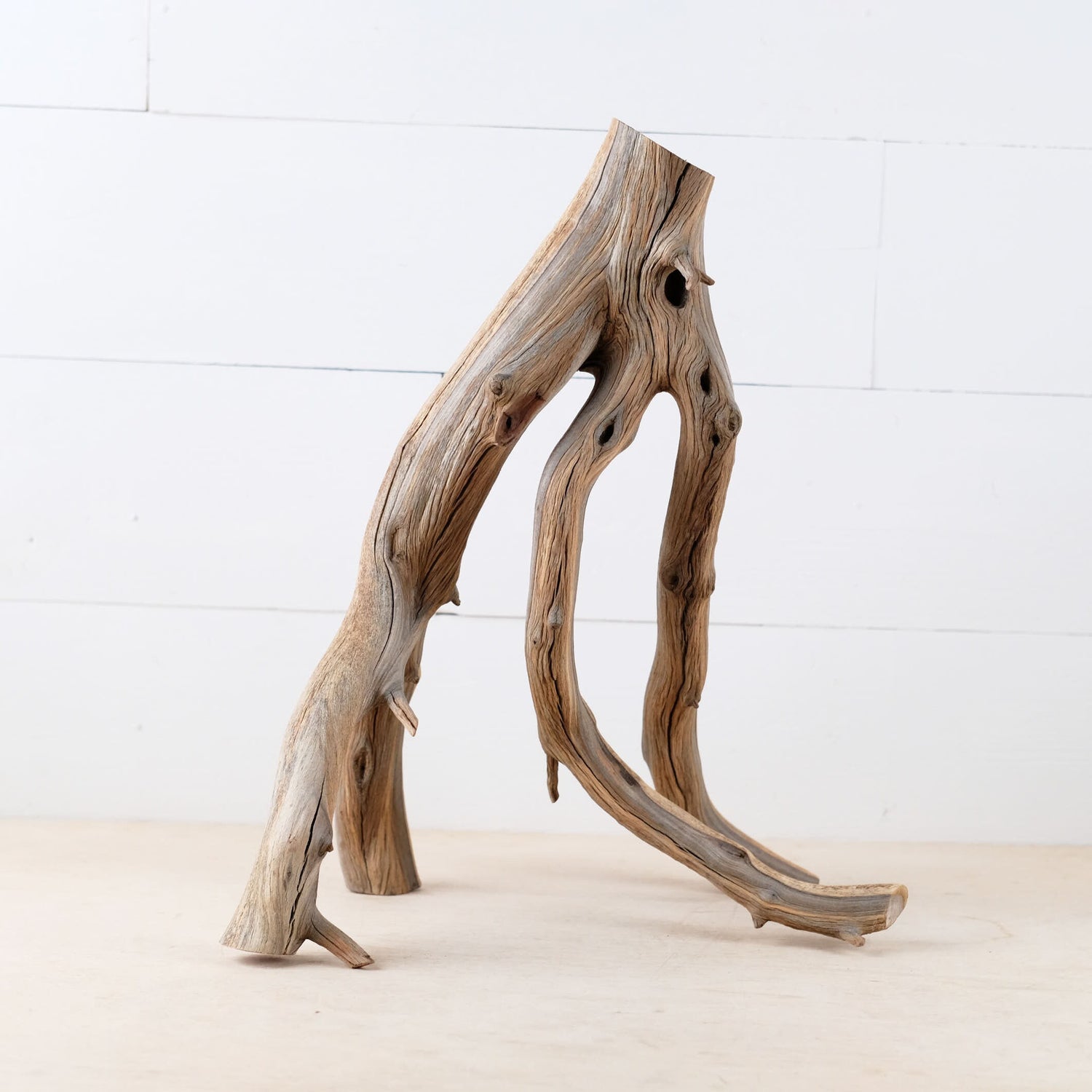 16" Manzanita Branch, Aquarium Wood, Aquascape Driftwood Centerpiece, Fish Tank Decor
