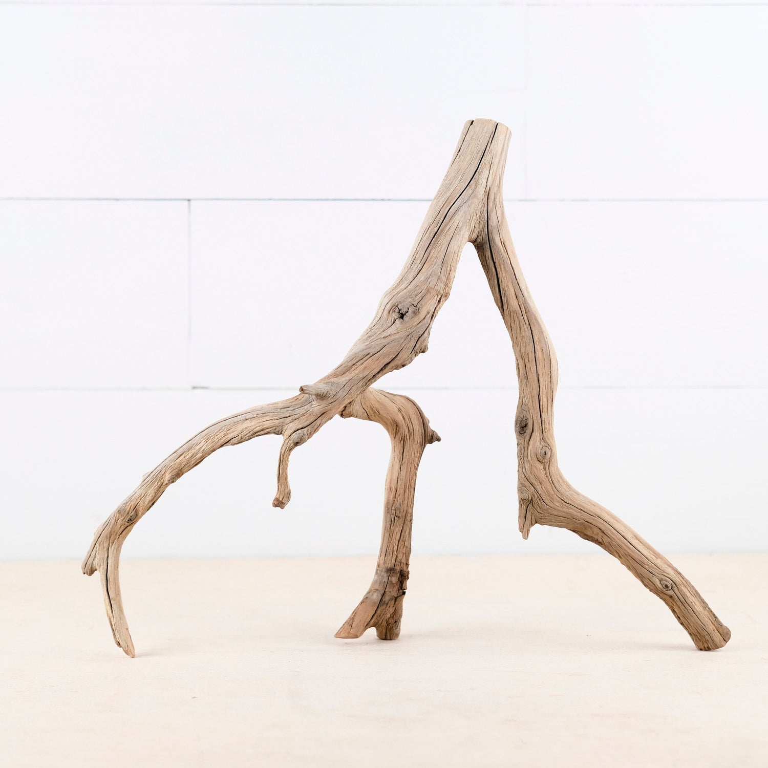 15" Manzanita Branch, Small Aquarium Wood, Aquascape Driftwood, Narrow Fish Tank Decor, Terrarium Branch