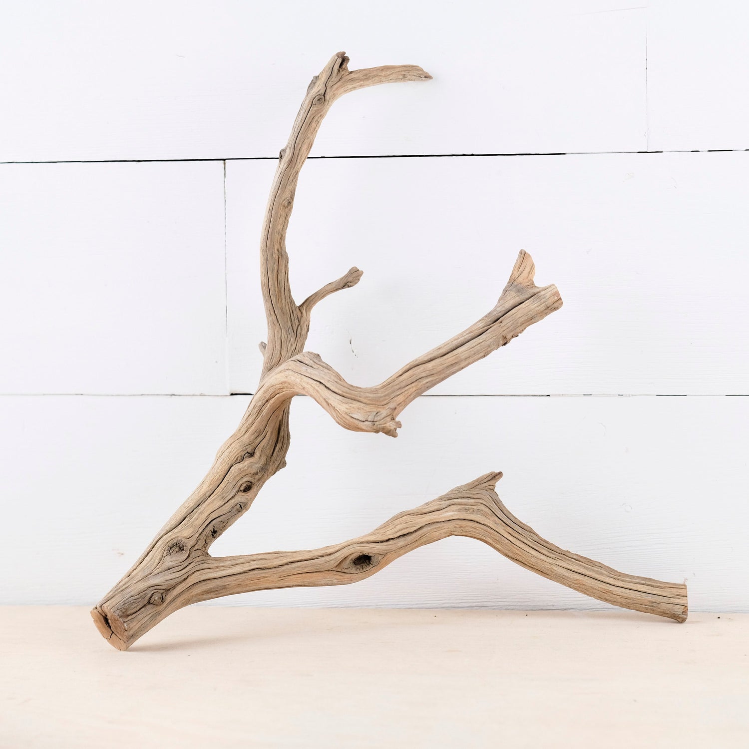 15" Manzanita Branch, Small Aquarium Wood, Aquascape Driftwood, Narrow Fish Tank Decor, Terrarium Branch