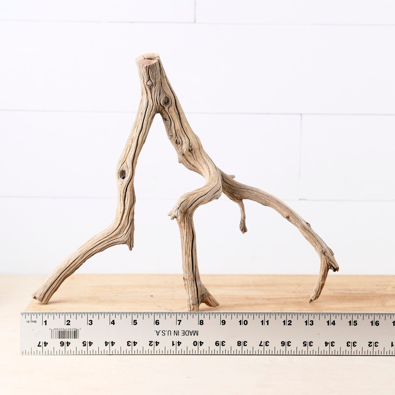 15" Manzanita Branch, Small Aquarium Wood, Aquascape Driftwood, Narrow Fish Tank Decor, Terrarium Branch