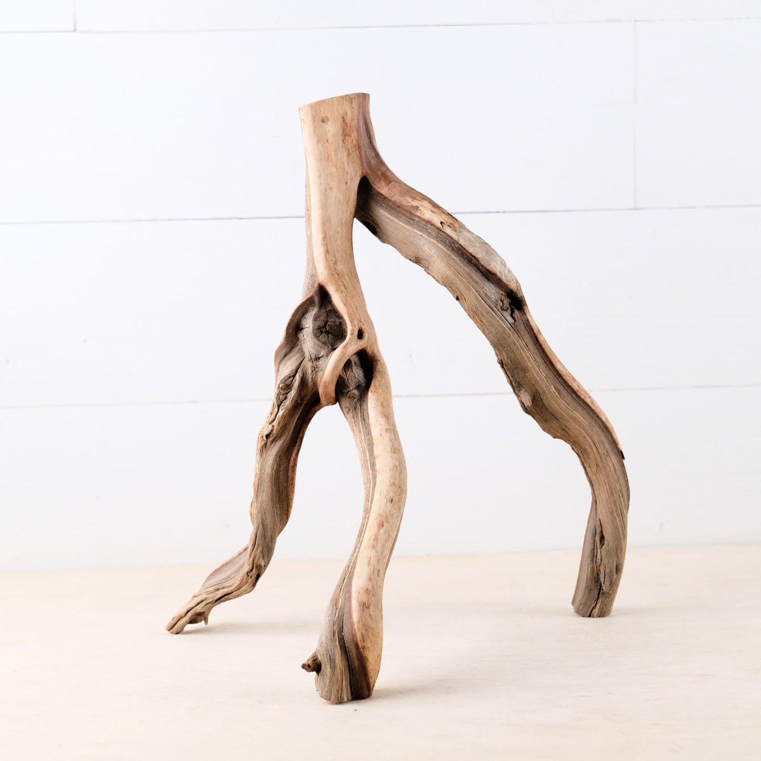 Manzanita 16" Branch, Aquascape Driftwood, Aquarium Wood Centerpiece, Natural Fish Tank Decor, Reptile Terrarium Branch