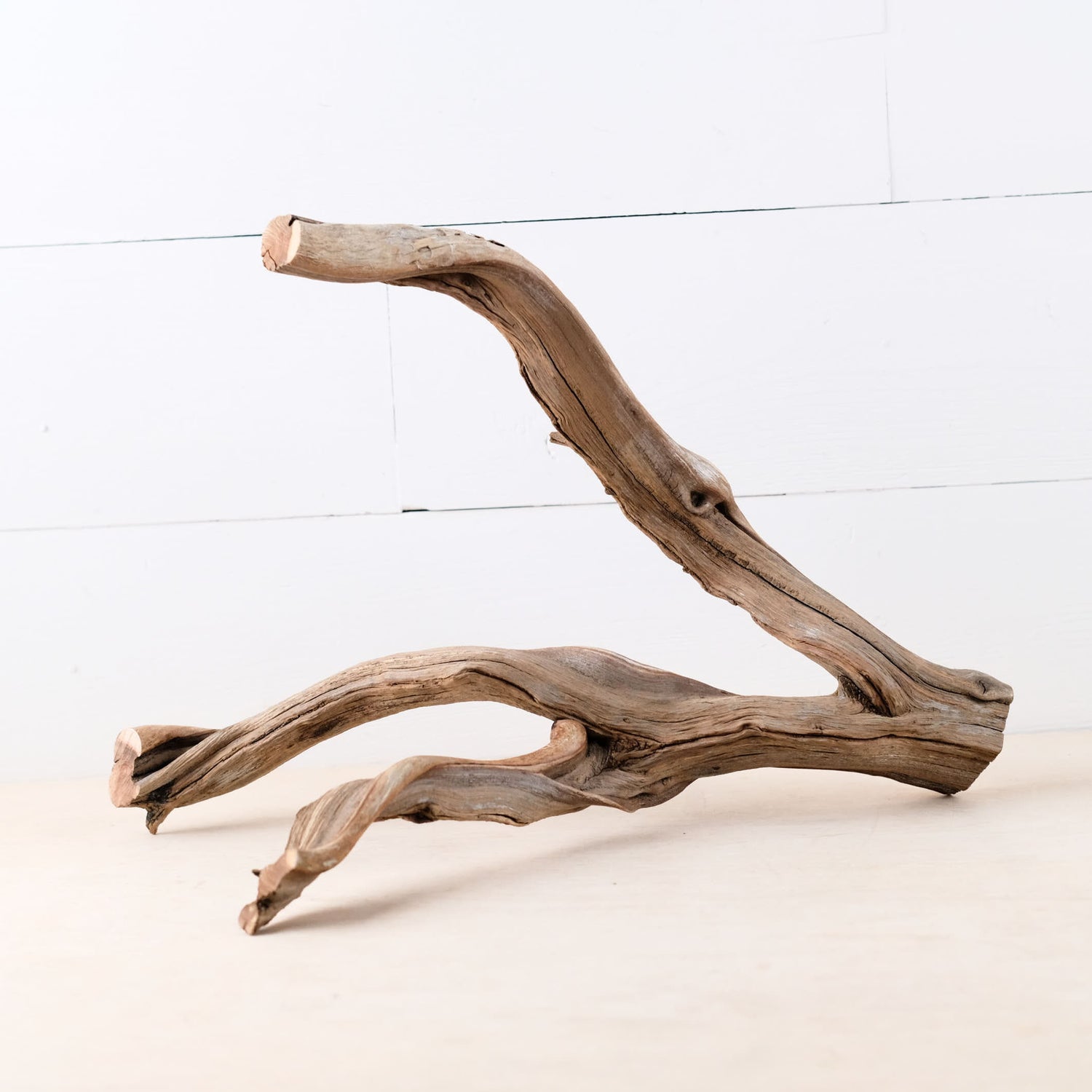 Manzanita 16" Branch, Aquascape Driftwood, Aquarium Wood Centerpiece, Natural Fish Tank Decor, Reptile Terrarium Branch