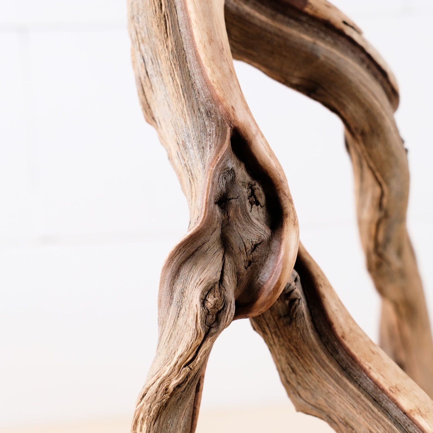 Manzanita 16" Branch, Aquascape Driftwood, Aquarium Wood Centerpiece, Natural Fish Tank Decor, Reptile Terrarium Branch
