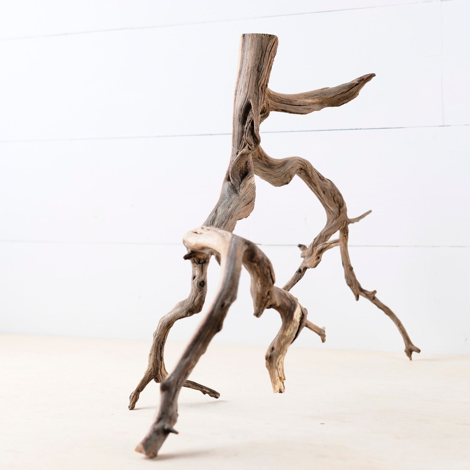 20" Manzanita Branch, Aquarium Wood, Aquascape Driftwood, Fish Tank Decor, Terrarium Branch