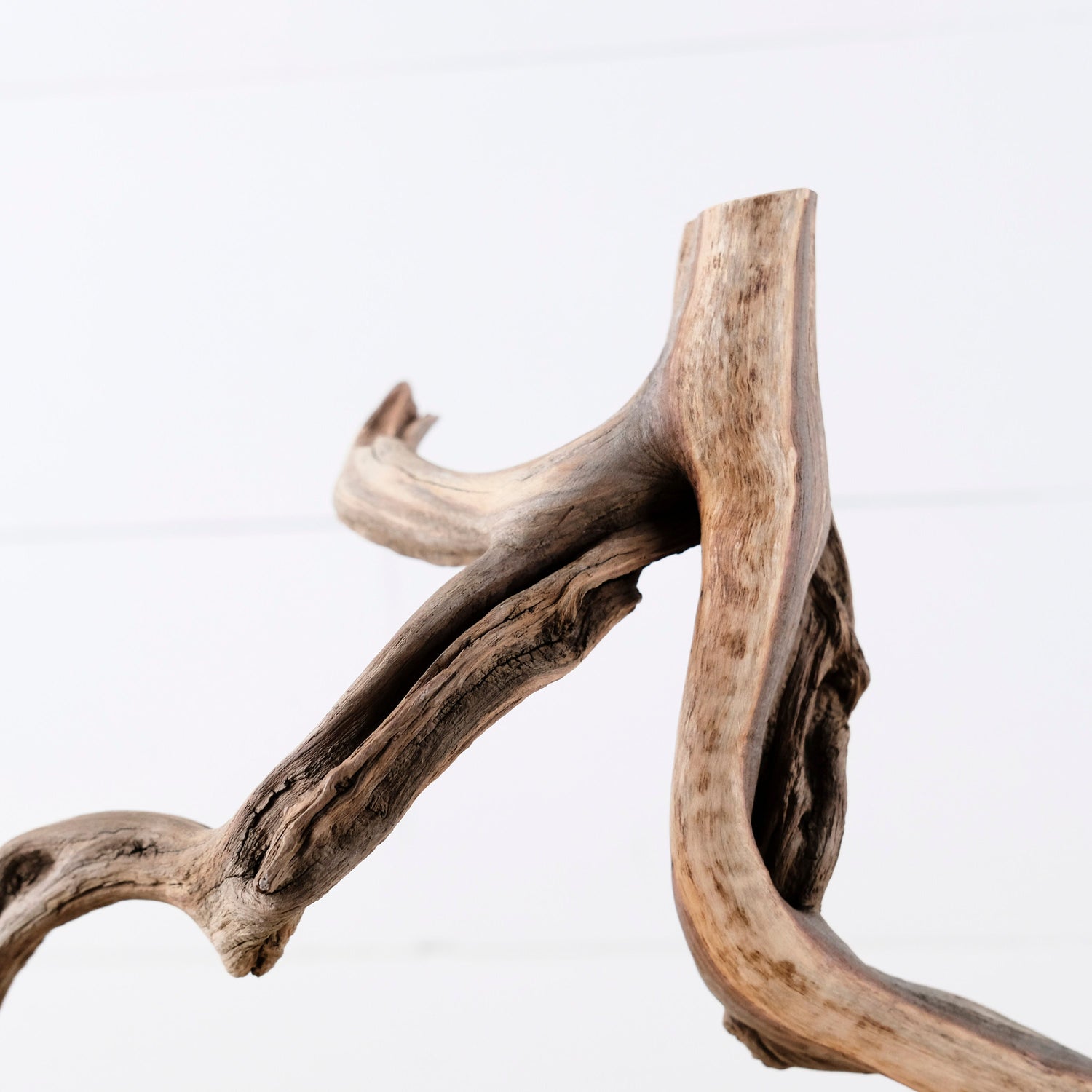 20" Manzanita Branch, Aquarium Wood, Aquascape Driftwood, Fish Tank Decor, Terrarium Branch