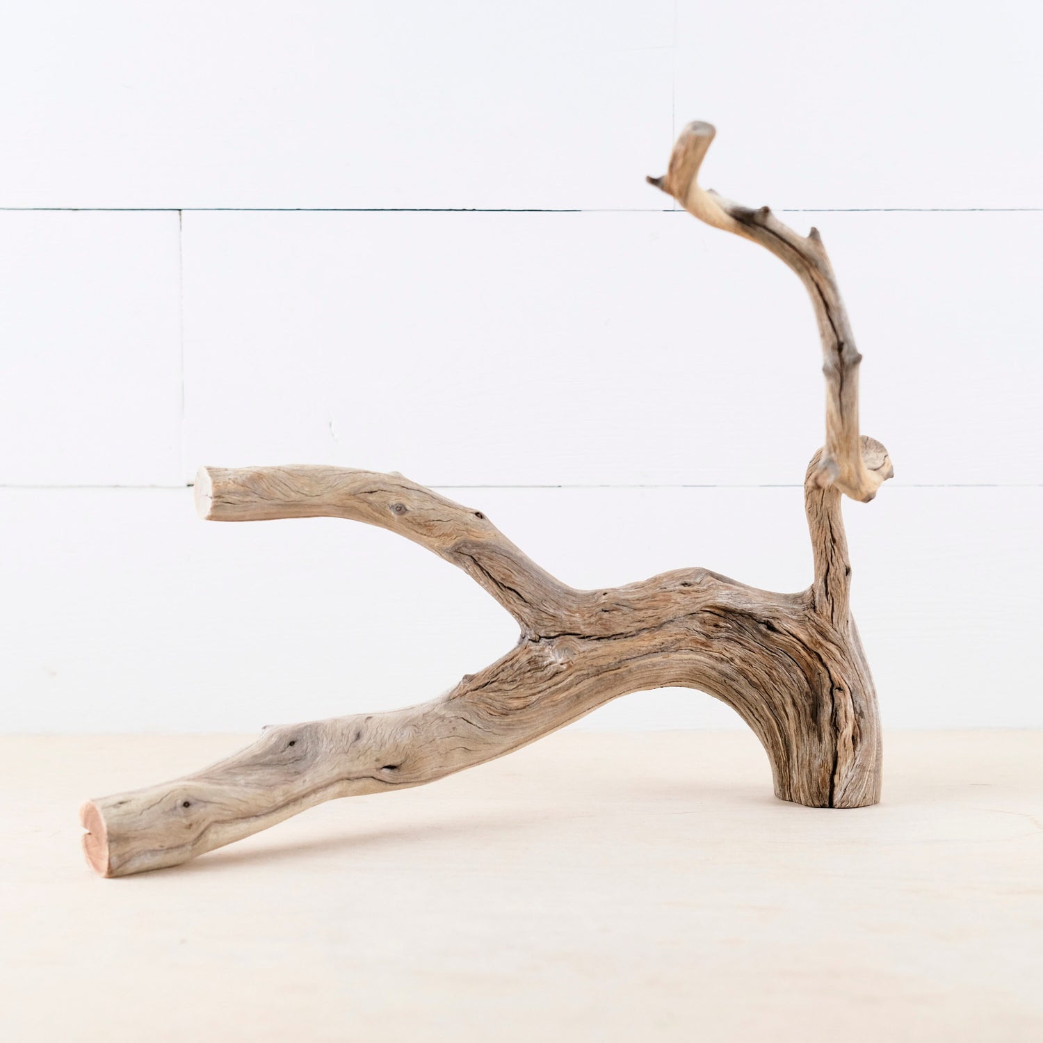 Manzanita 14" Branch, Aquascape Driftwood, Aquarium Wood Centerpiece, Natural Fish Tank Decor, Reptile Terrarium Branch