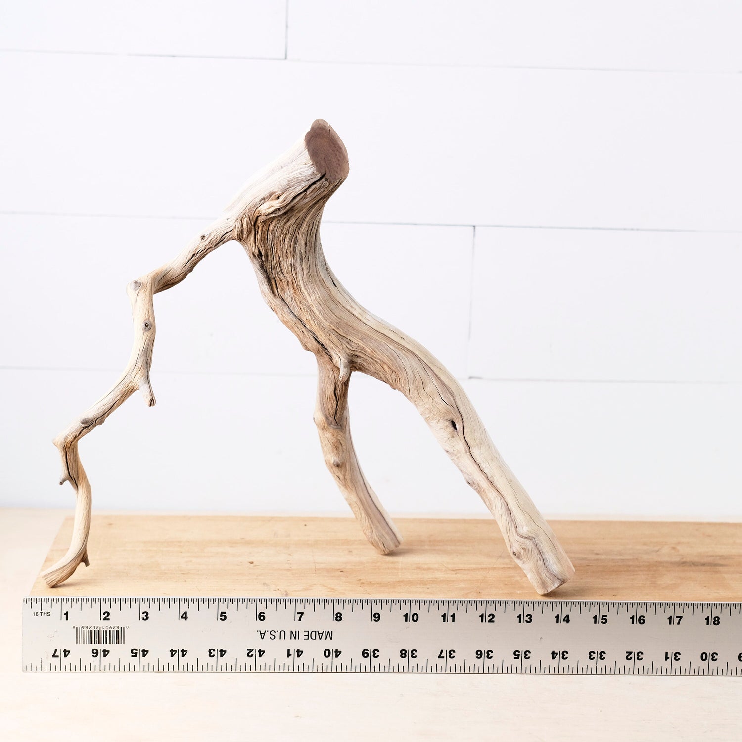 Manzanita 14" Branch, Aquascape Driftwood, Aquarium Wood Centerpiece, Natural Fish Tank Decor, Reptile Terrarium Branch