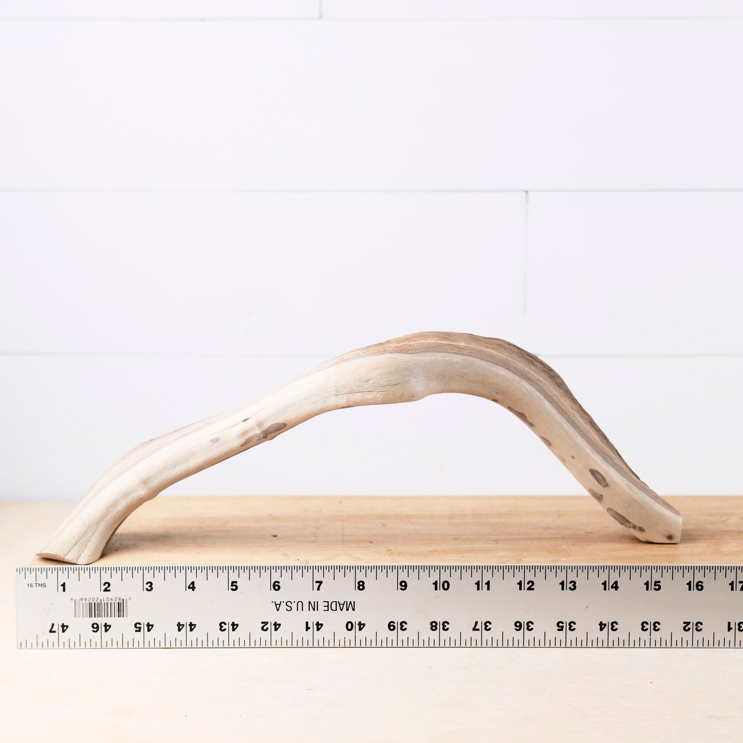 Manzanita 16" Driftwood Arch, Aquarium Aquascape Decor, Natural Fish Tank Wood, Reptile Vivarium Wood