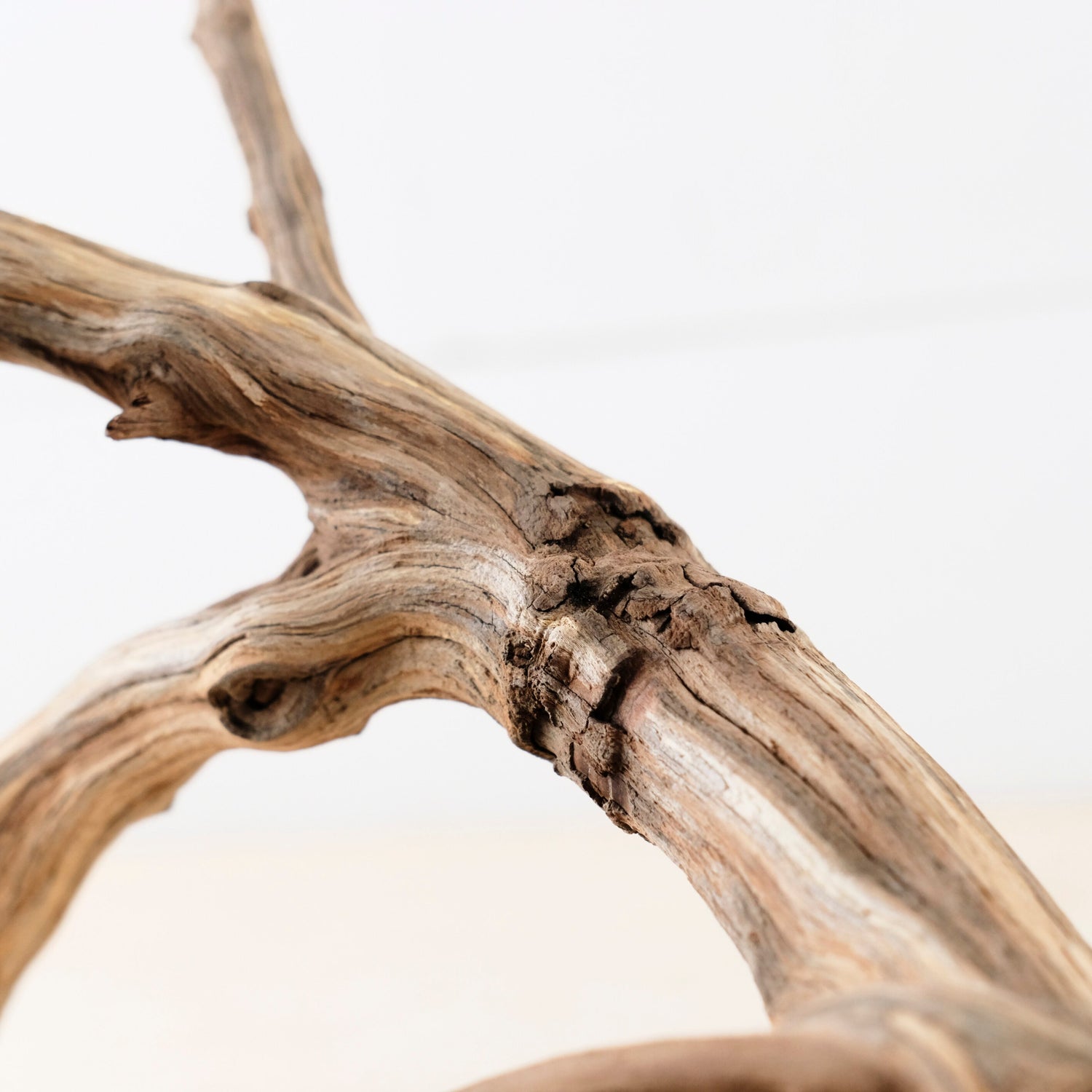 Manzanita 13" Branch, Small Aquascape Driftwood, Aquarium Wood, Natural Fish Tank Decor, Reptile Terrarium Branch
