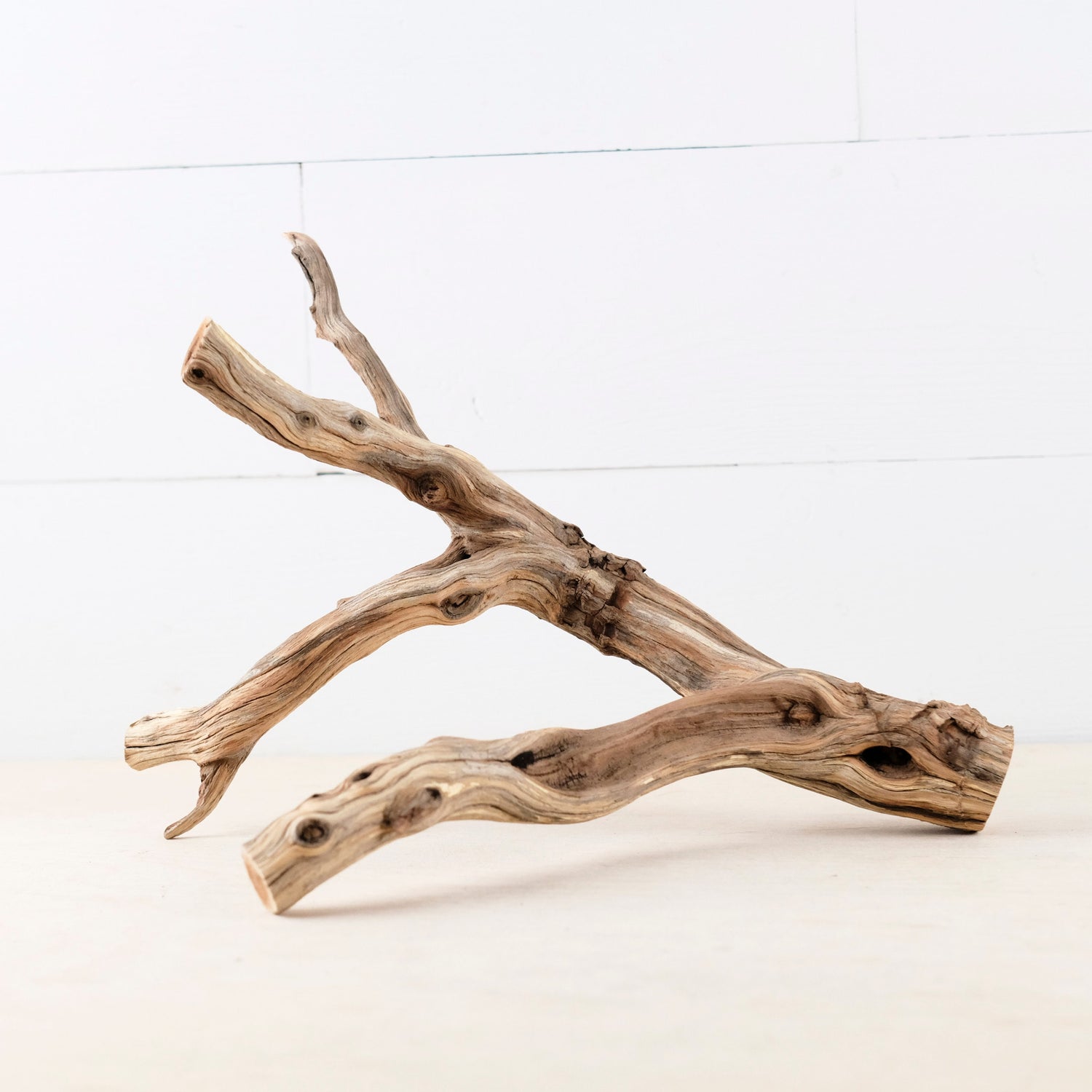 Manzanita 13" Branch, Small Aquascape Driftwood, Aquarium Wood, Natural Fish Tank Decor, Reptile Terrarium Branch