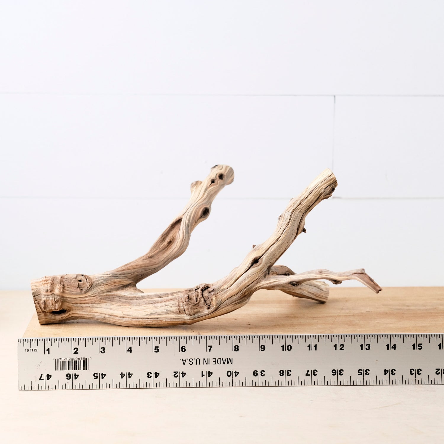 Manzanita 13" Branch, Small Aquascape Driftwood, Aquarium Wood, Natural Fish Tank Decor, Reptile Terrarium Branch