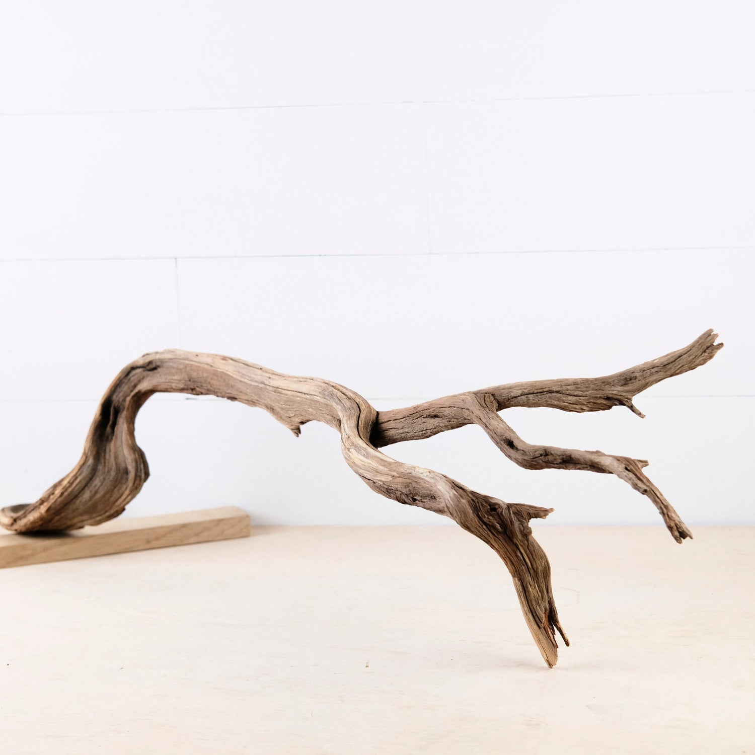 Manzanita 32" Driftwood Arch, Aquarium Aquascape Decor, Natural Fish Tank Wood, Mantel Decor Branch