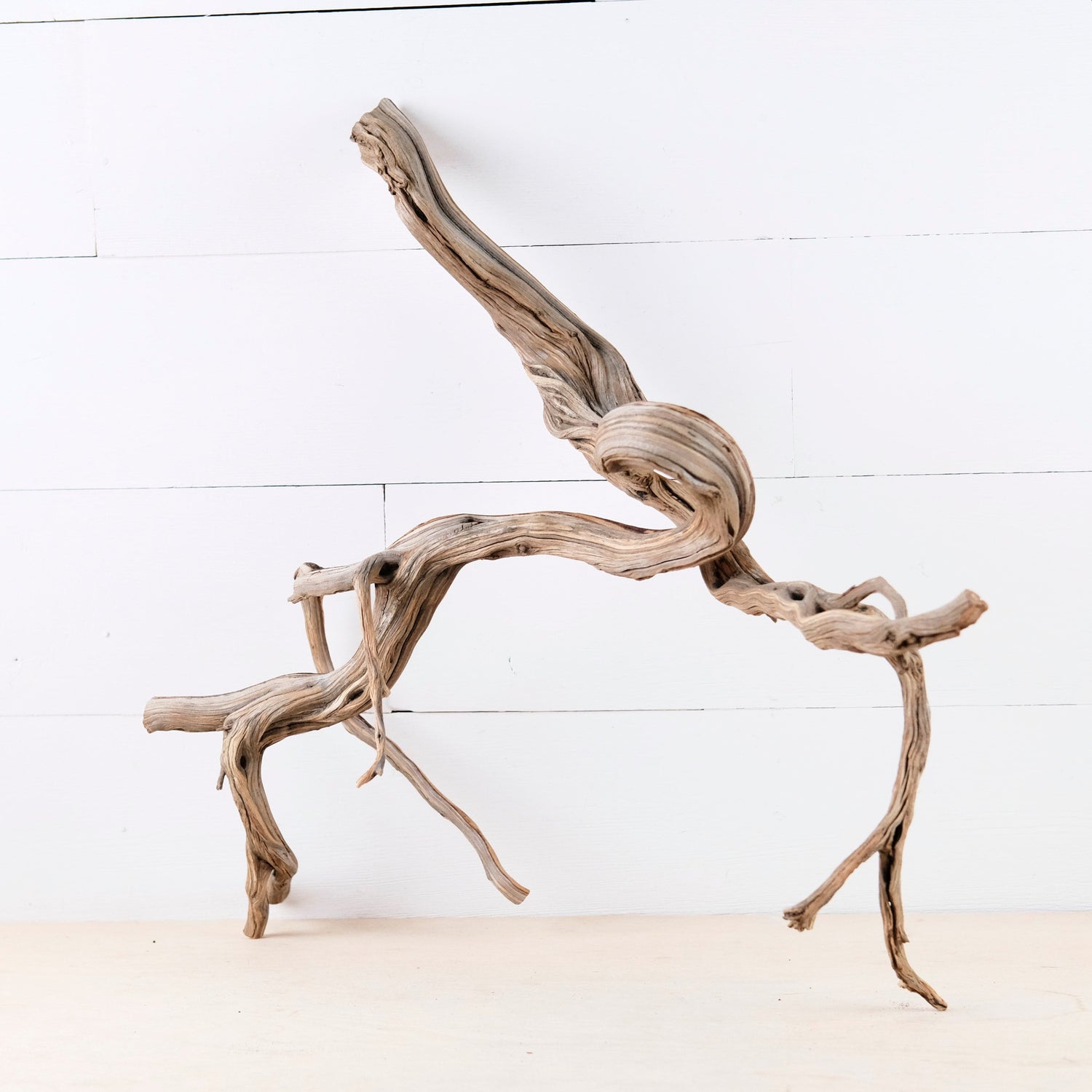 Manzanita 20" Branch, Large Aquascape Driftwood, Aquarium Wood Centerpiece, Natural Fish Tank Decor, Reptile Vivarium Branch