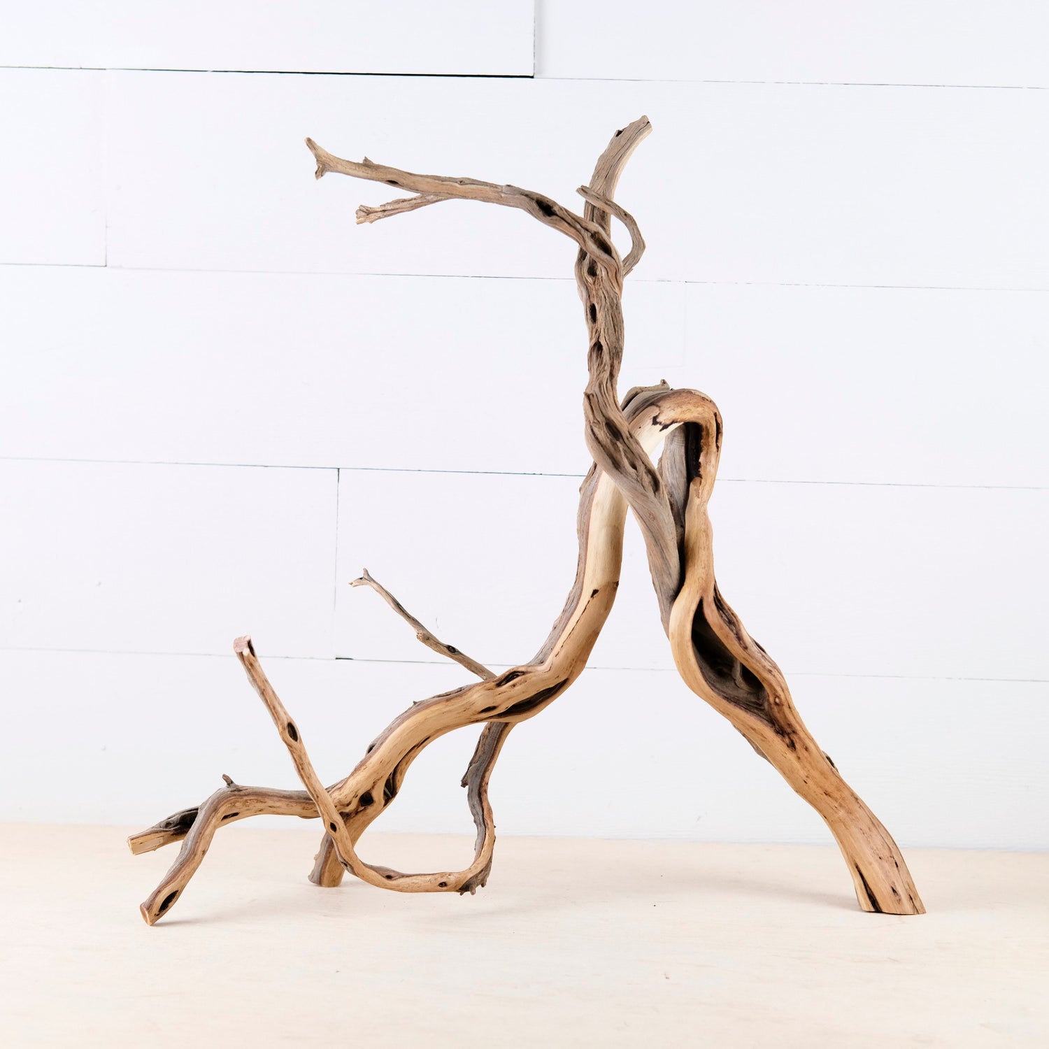 Manzanita 20" Branch, Large Aquascape Driftwood, Aquarium Wood Centerpiece, Natural Fish Tank Decor, Reptile Vivarium Branch
