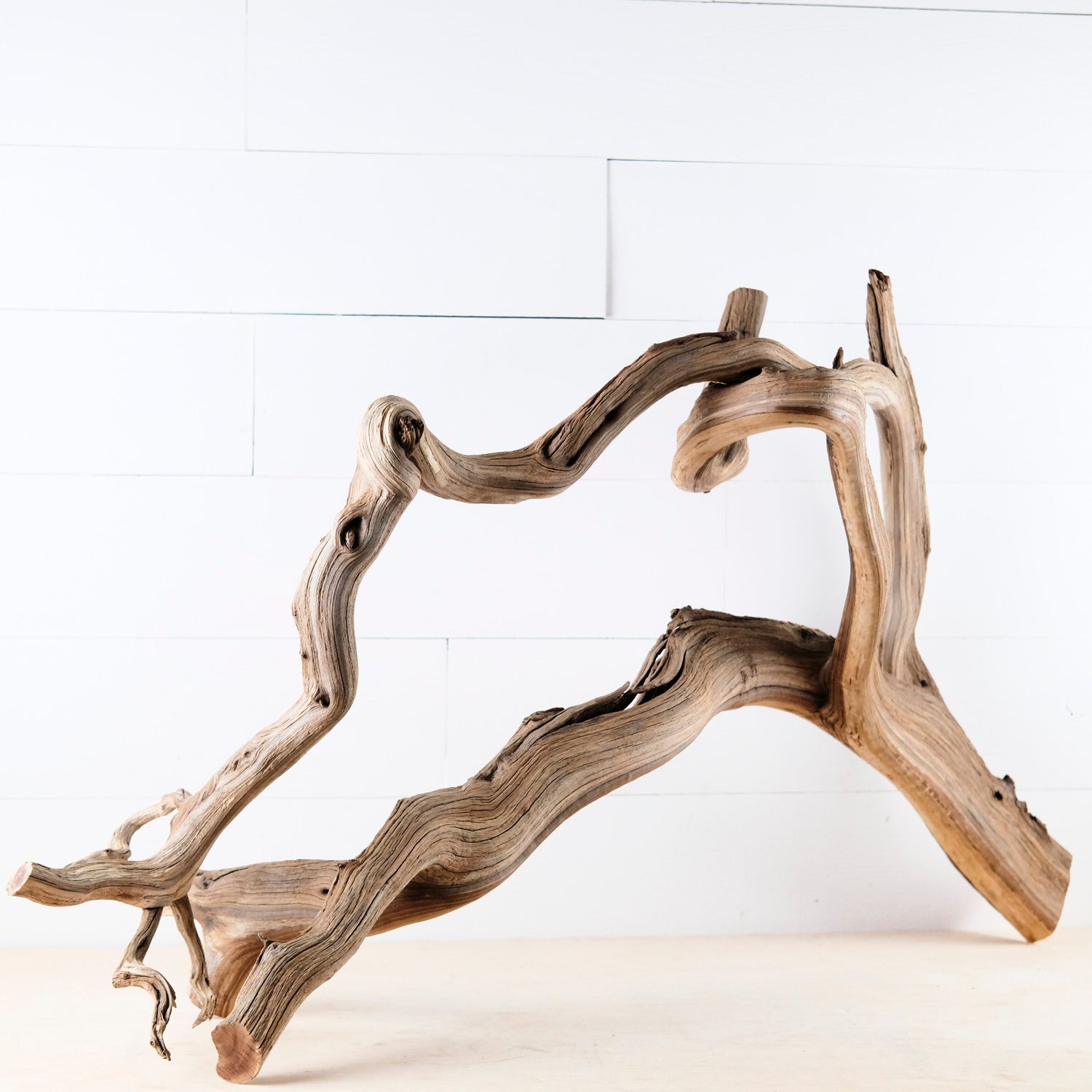 Manzanita 40" Branch, Aquascape Driftwood, XL Aquarium Wood, Natural Fish Tank Decor, Reptile Terrarium Enrichment, Vivarium Climb