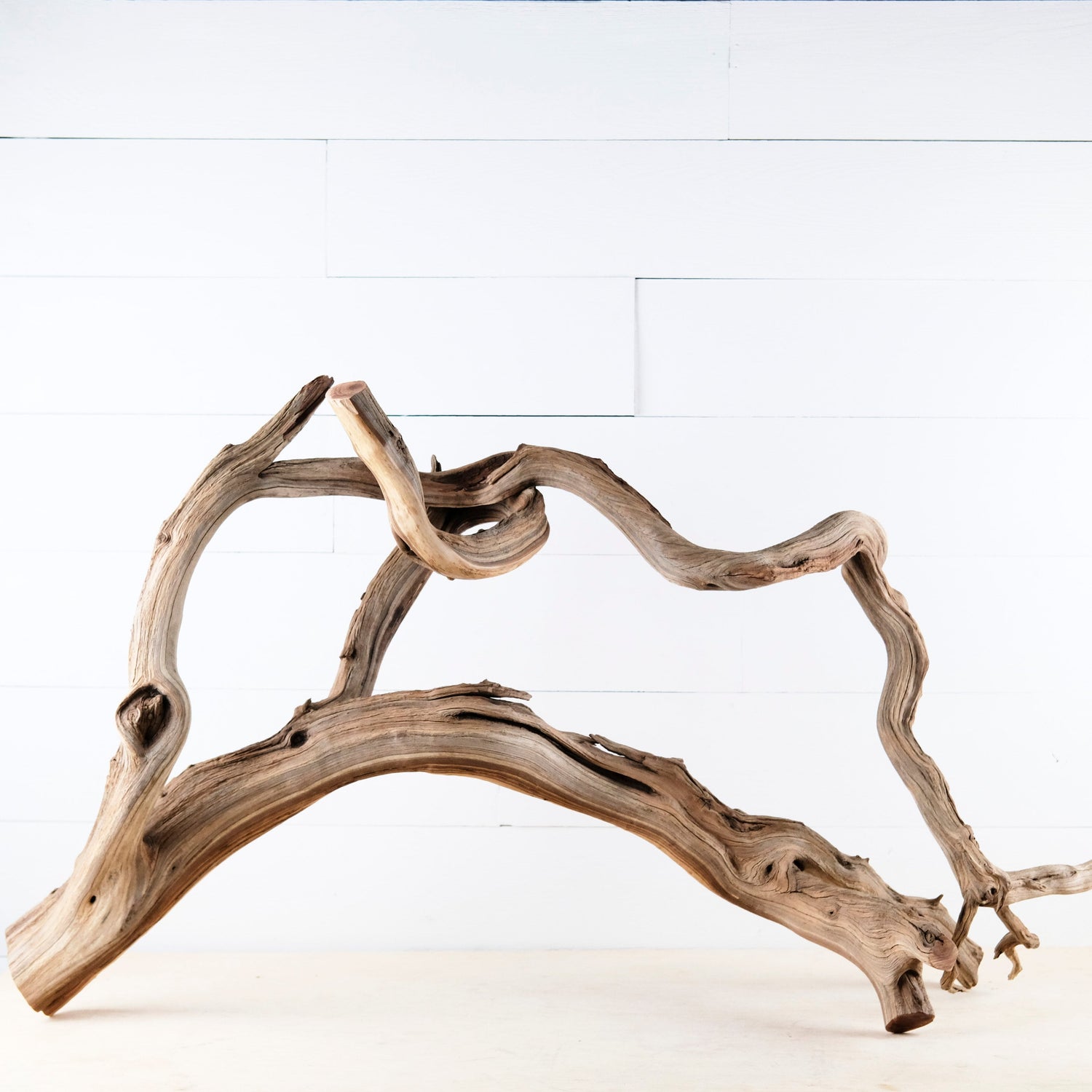 Manzanita 40" Branch, Aquascape Driftwood, XL Aquarium Wood, Natural Fish Tank Decor, Reptile Terrarium Enrichment, Vivarium Climb