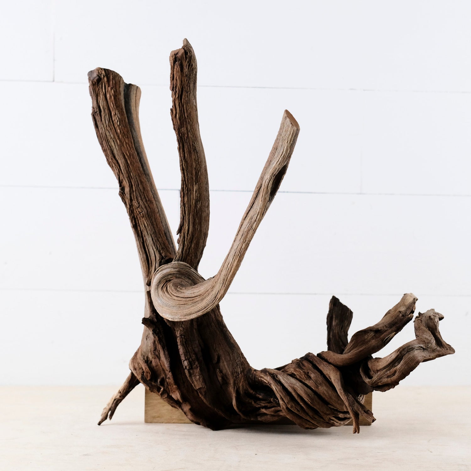 Manzanita 16" Driftwood, Aquarium Aquascape Decor, Natural Fish Tank Wood, Driftwood Root, Terrarium Centerpiece
