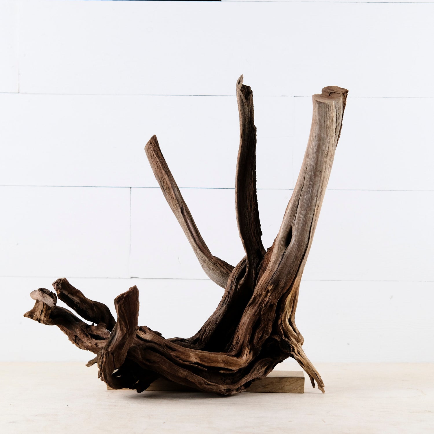 Manzanita 16" Driftwood, Aquarium Aquascape Decor, Natural Fish Tank Wood, Driftwood Root, Terrarium Centerpiece