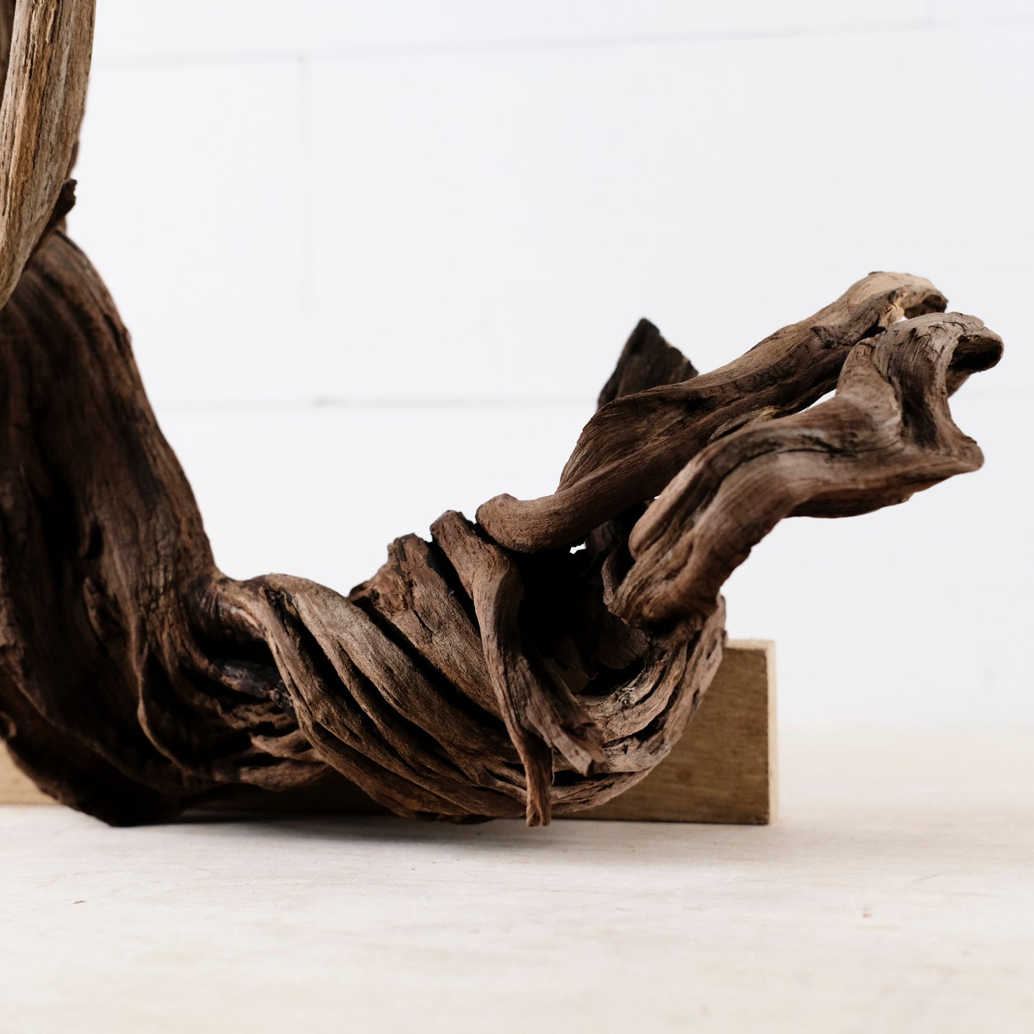 Manzanita 16" Driftwood, Aquarium Aquascape Decor, Natural Fish Tank Wood, Driftwood Root, Terrarium Centerpiece